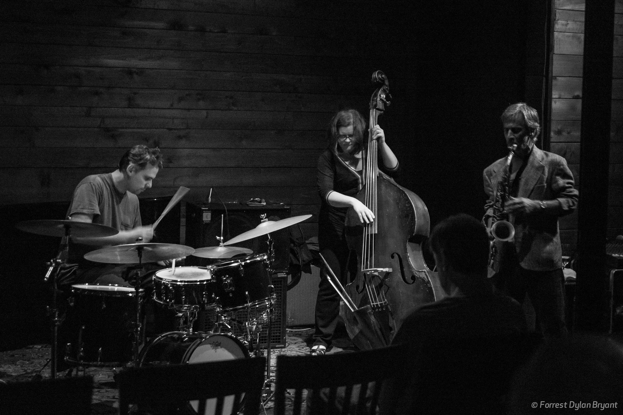 Marco Eneidi's Shattered Trio, photo by Forrest Bryant