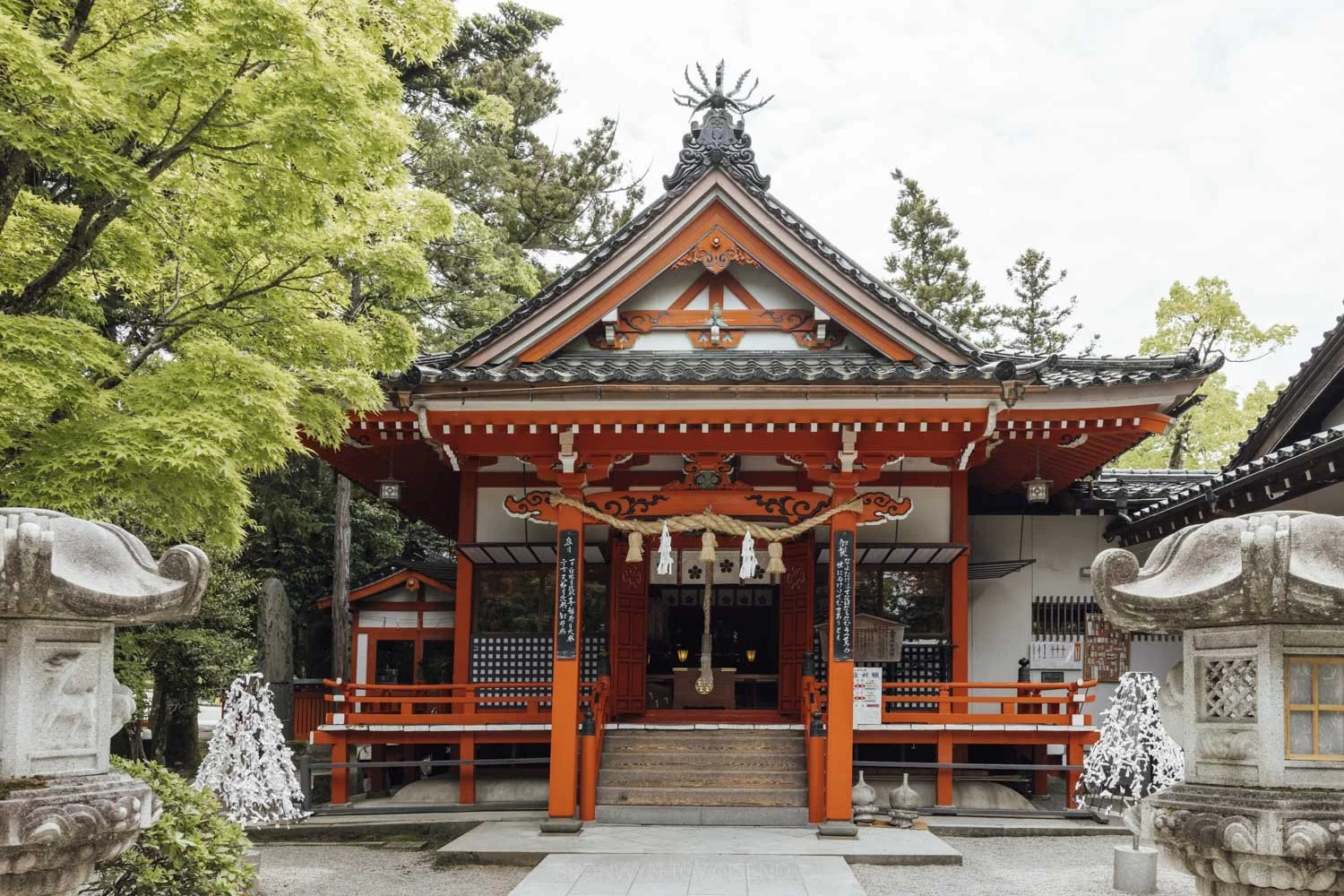 Orange facade of Kanazawa Jinja Shrine with green maples in spring