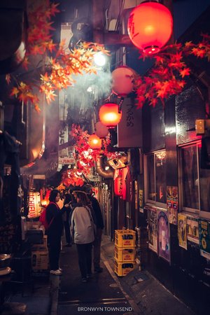 Tokyo in Photos: 35 photos to inspire you to visit — Bronwyn Townsend