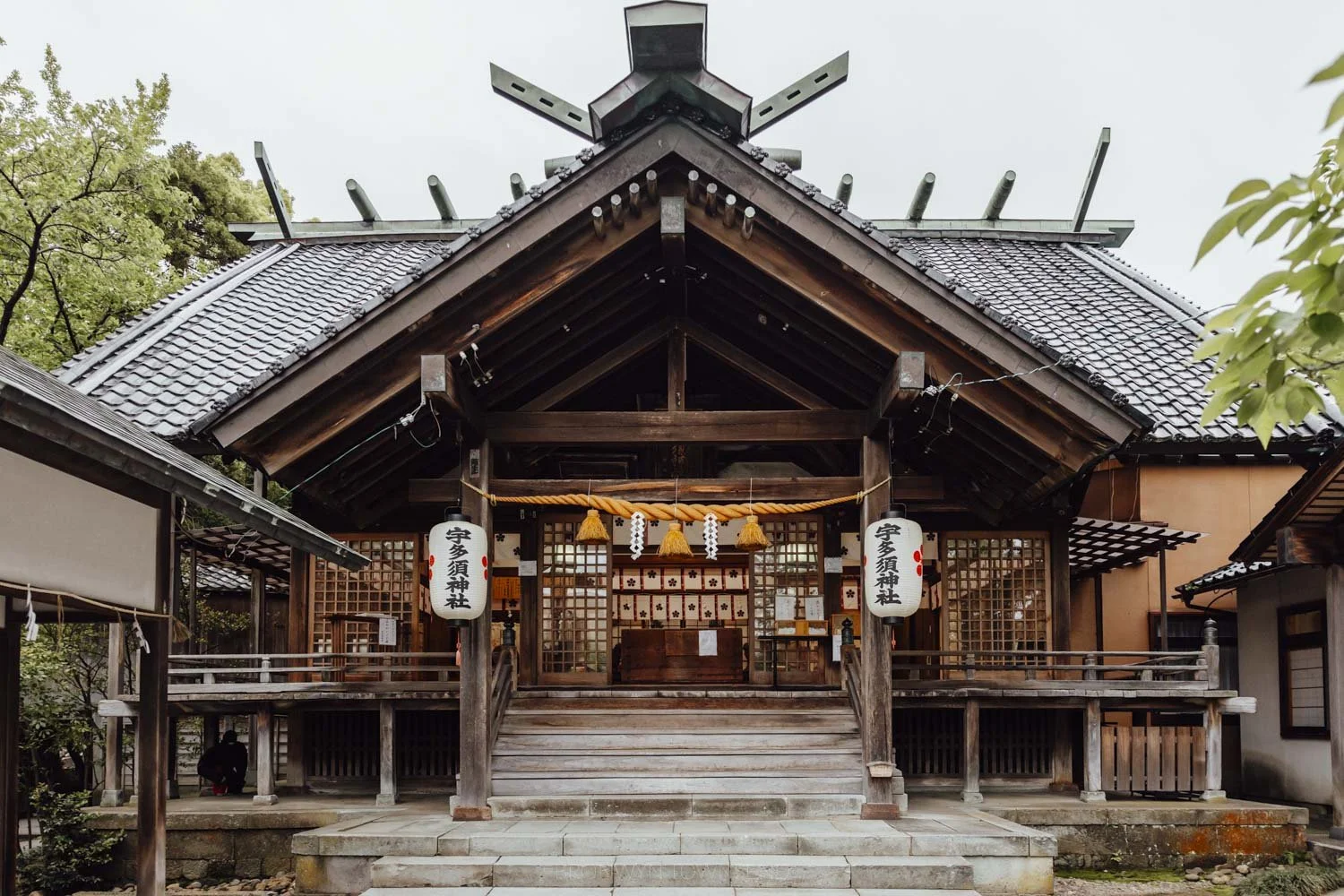 exterior of utasu shrine in summer with green trees on either side and wide paper lanterns strung out the front