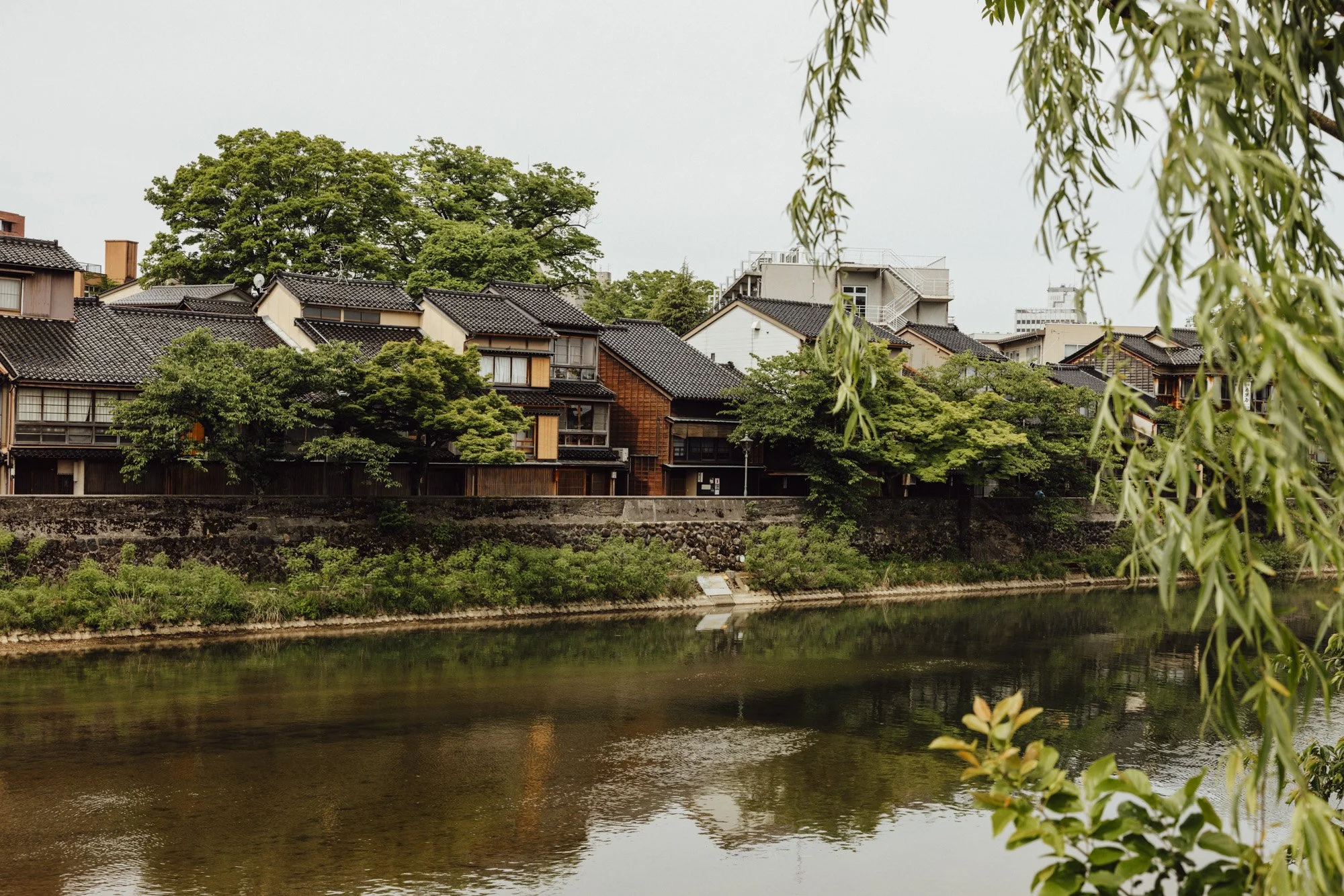 View of Kazuemachi district and Asano River in summer with cherry trees and willows in full foliage.