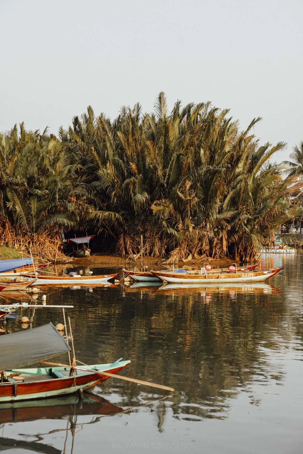 Palm tree grove near Hoi An, with a river and narrow boats in the foreground