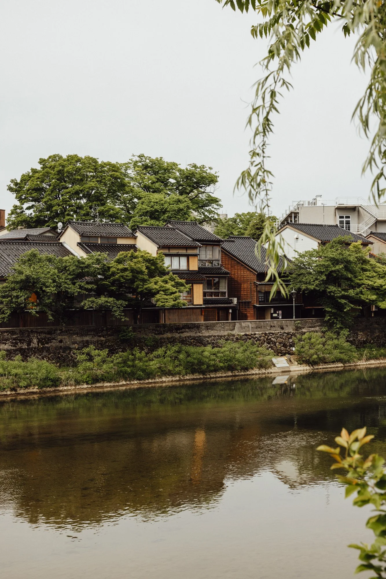 A row of traditional wooden japanese townhouses with a calm river in the foreground, lush green trees along the river bank, and a weeping willow out of focus in the foreground