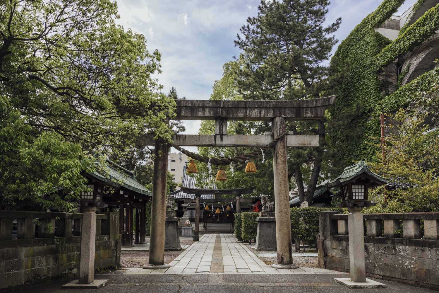 stone torii gate entrance of Yasue Hachimangu on a sunny day, surrounded by trees and vines.