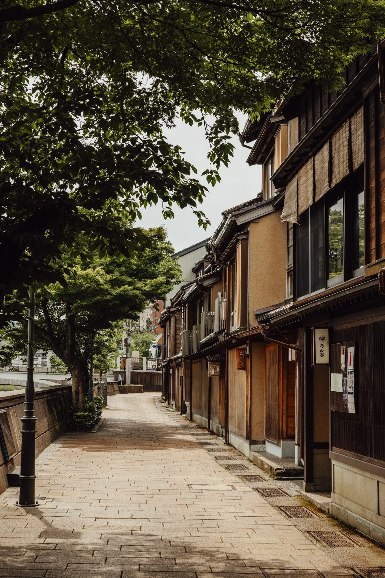 a row of ochre-shaded timber townhouses along a paved walkway along the asano river in kanazawa, shaded by lush full green cherry trees in summer