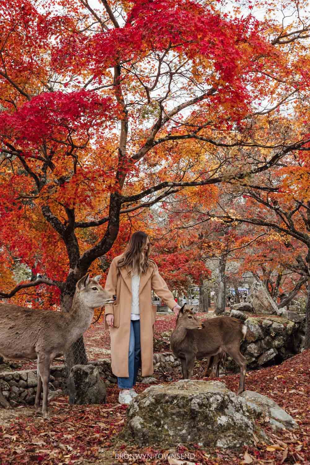 15 Chic Fall Outfits for Every Occasion: Your Ultimate Autumn Style Guide —  Autum Love
