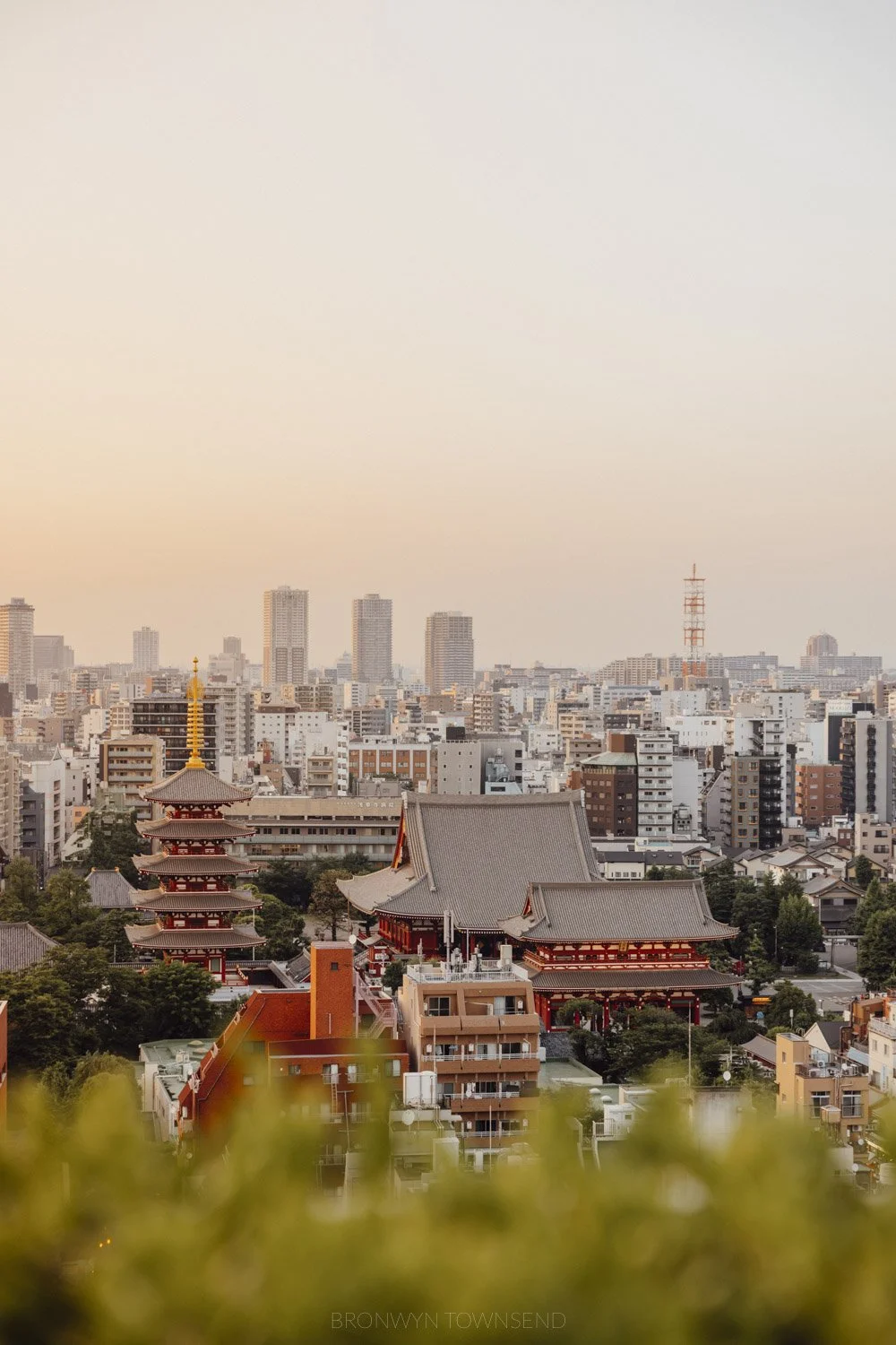 View of sensoji Temple in Asakusa Tokyo at sunset from the rooftop of the Gate Hotel, overlooking rooftops and the temple pagoda.