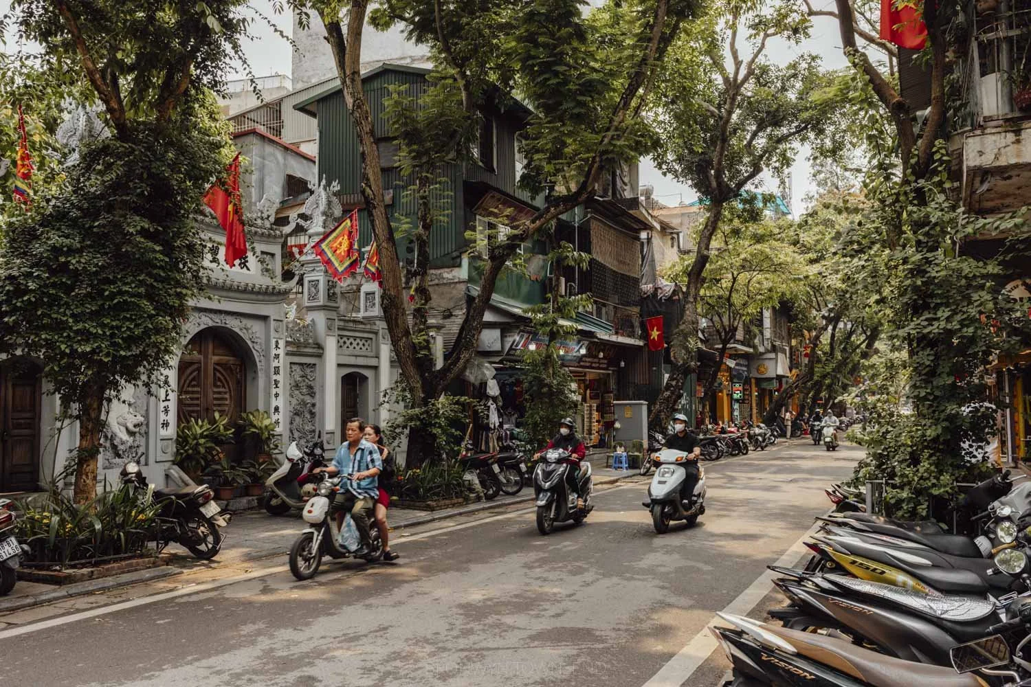 leafy street in hanoi old quarter with scooter riders on the road