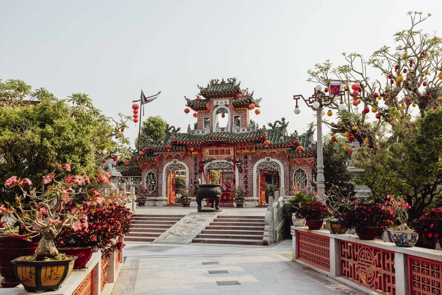 Fujian Assembly Hall in hoi An, with pink brick gate and green tiled roof. Red lanterns are handing from the upturned eaves nad there are trees and potter flowers on both side of the white stone path leading to the gate.