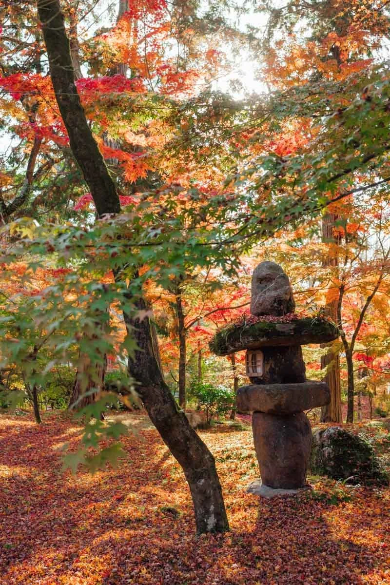 Kyoto in November: The Perfect Fall Travel Guide — Bronwyn Townsend