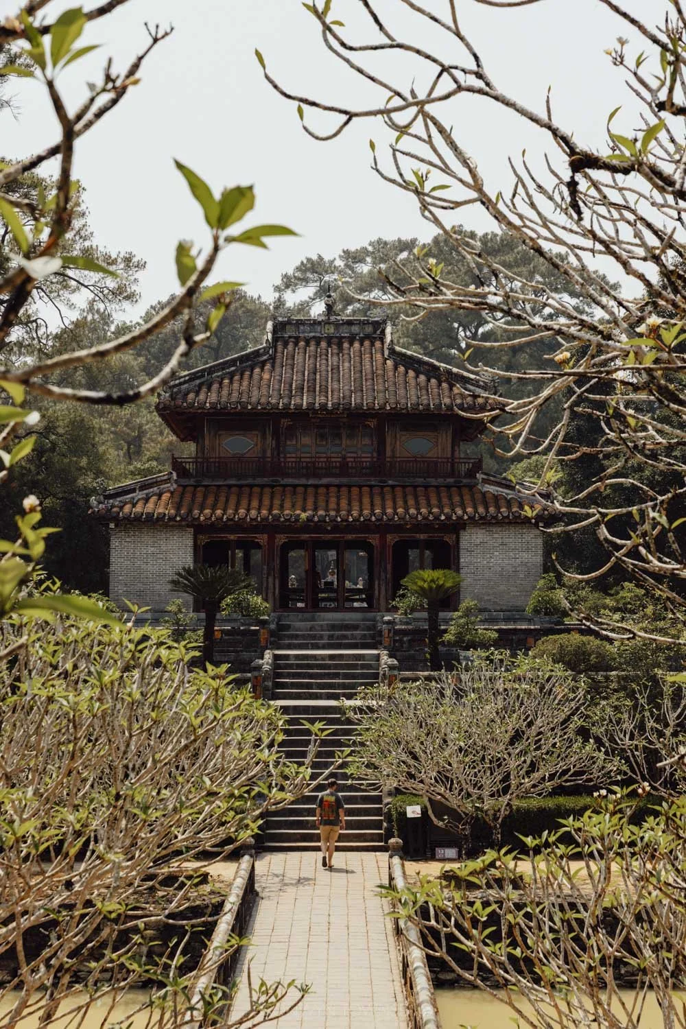 long path lined with frangipani trees outside the simple exterior of the tomb of minh mang
