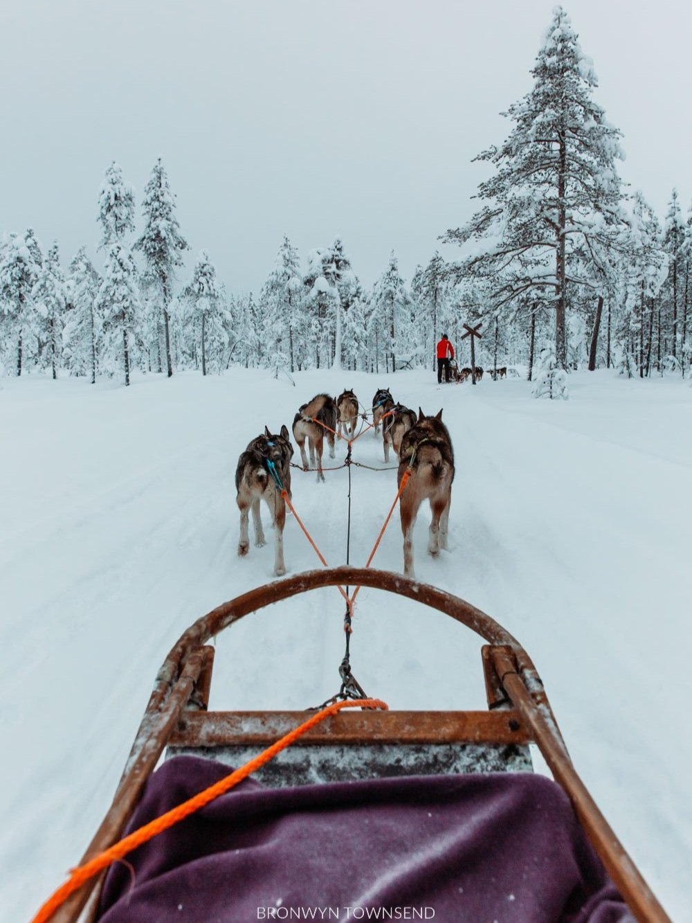 12-things-to-do-in-levi-finland-in-winter-bronwyn-townsend