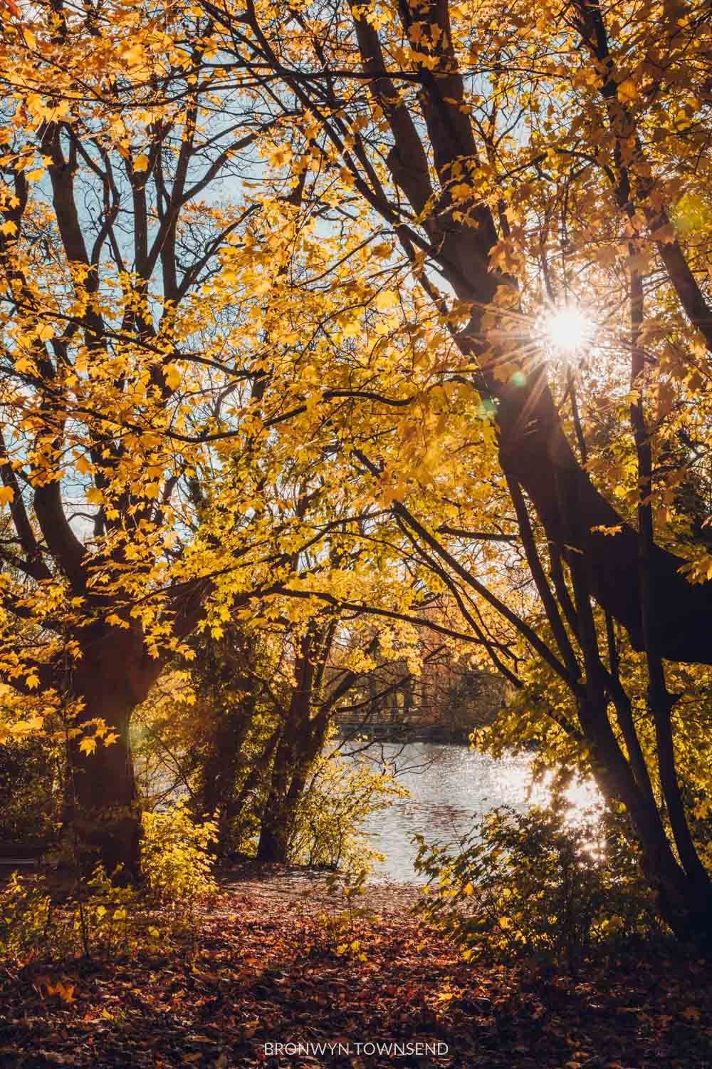 Autumn in London: Where to find the best fall colours 2022 — Bronwyn ...