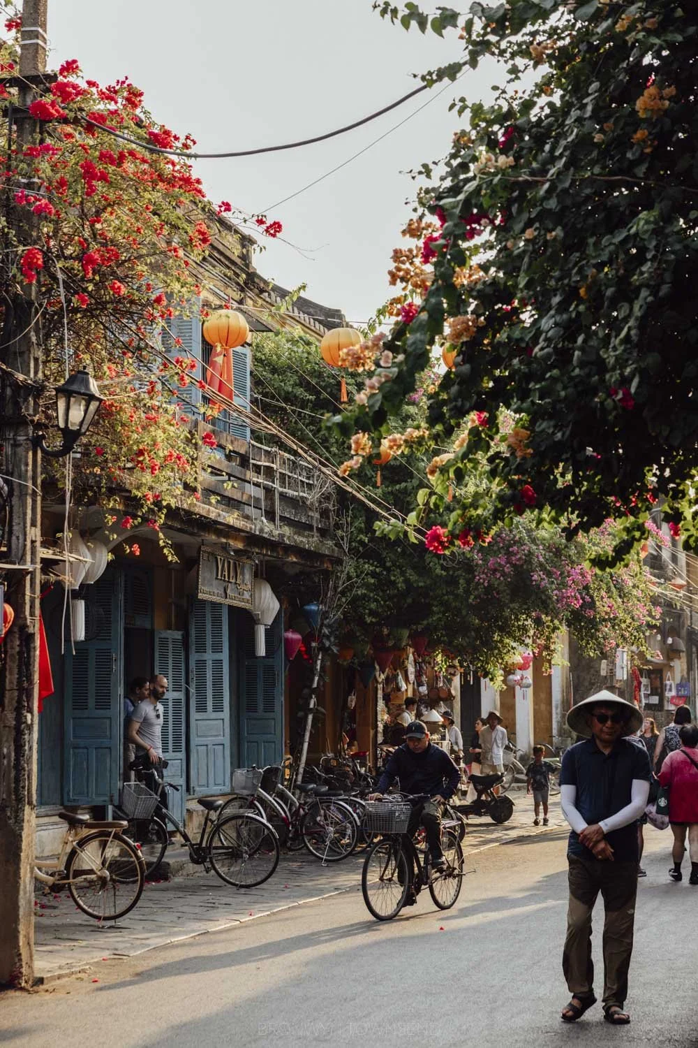 A street in hoi an old town with people walking and cycling in the late afternoon. There are bougainvillea vines handing from buildings and lanterns strung above the street