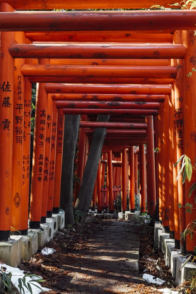 A row of red torii gates at ishiru shrine, kanazawa