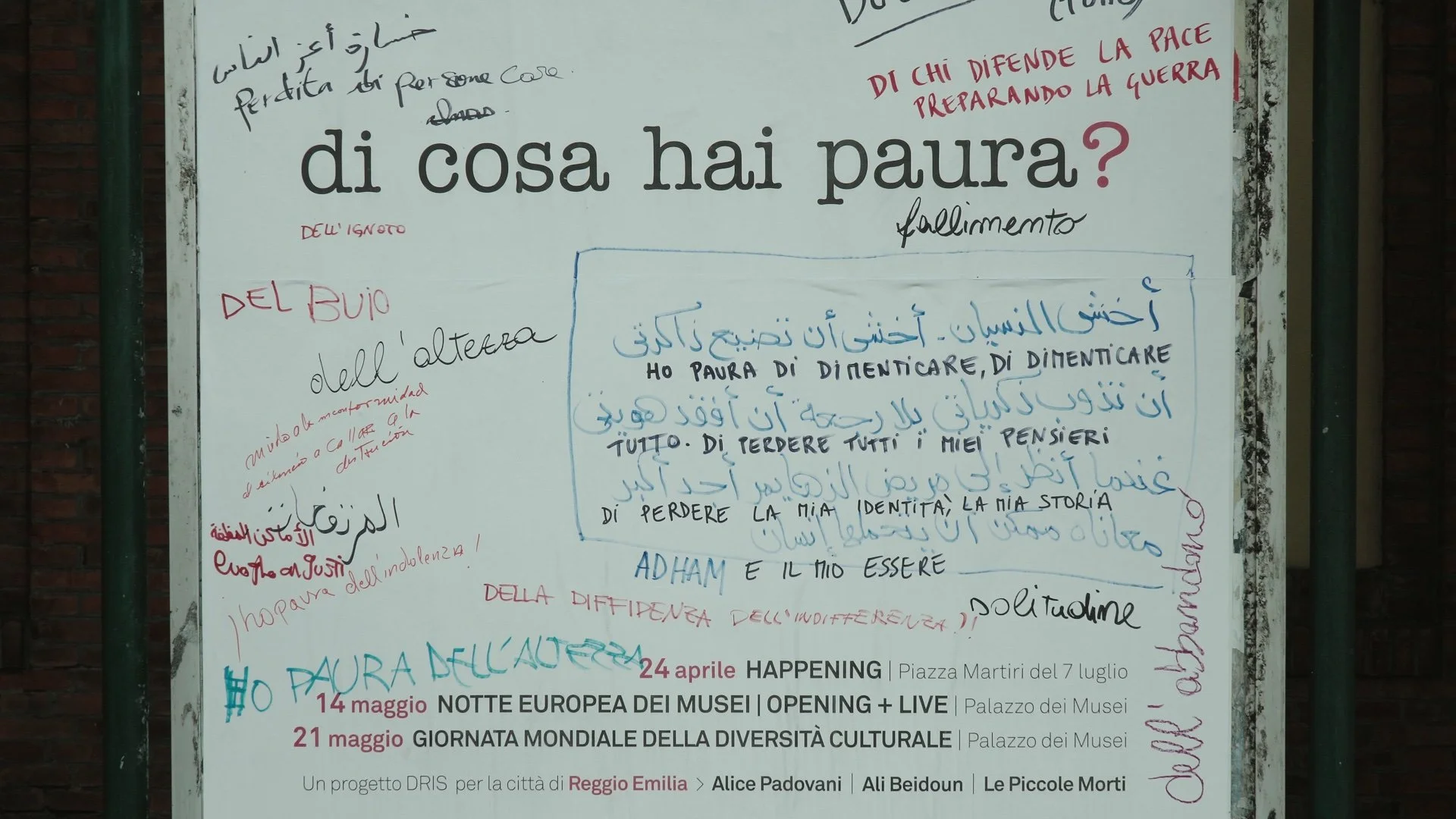 Extraneous Ali Beidoun 9.jpeg