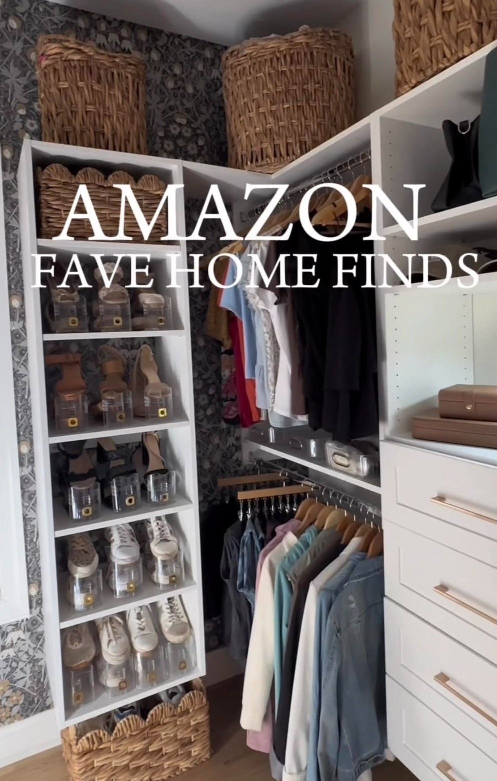 Amazon In My Home — Johnston Designs