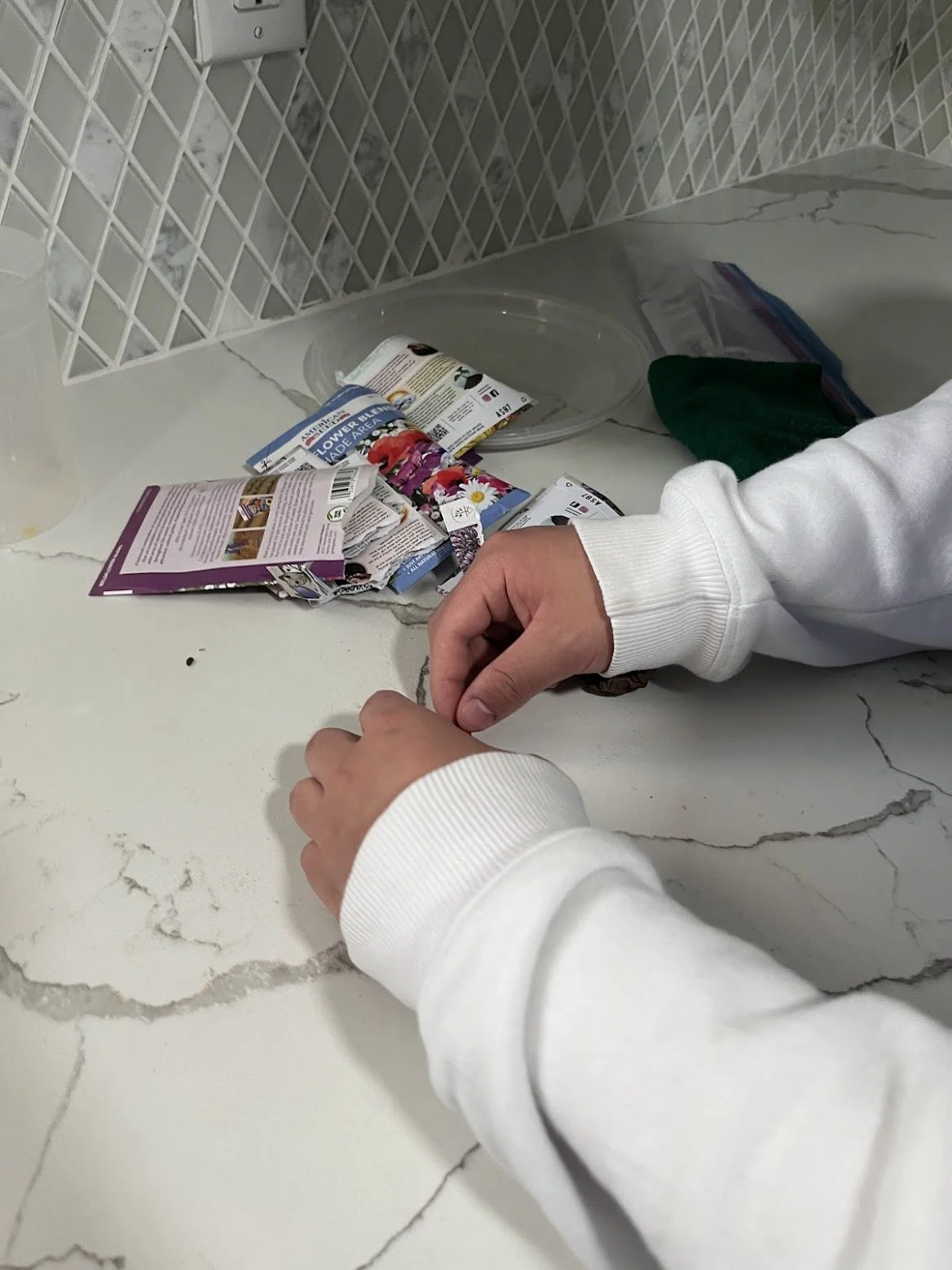 Person working on a cracked white countertop with gardening seed packets and a clear plastic container nearby