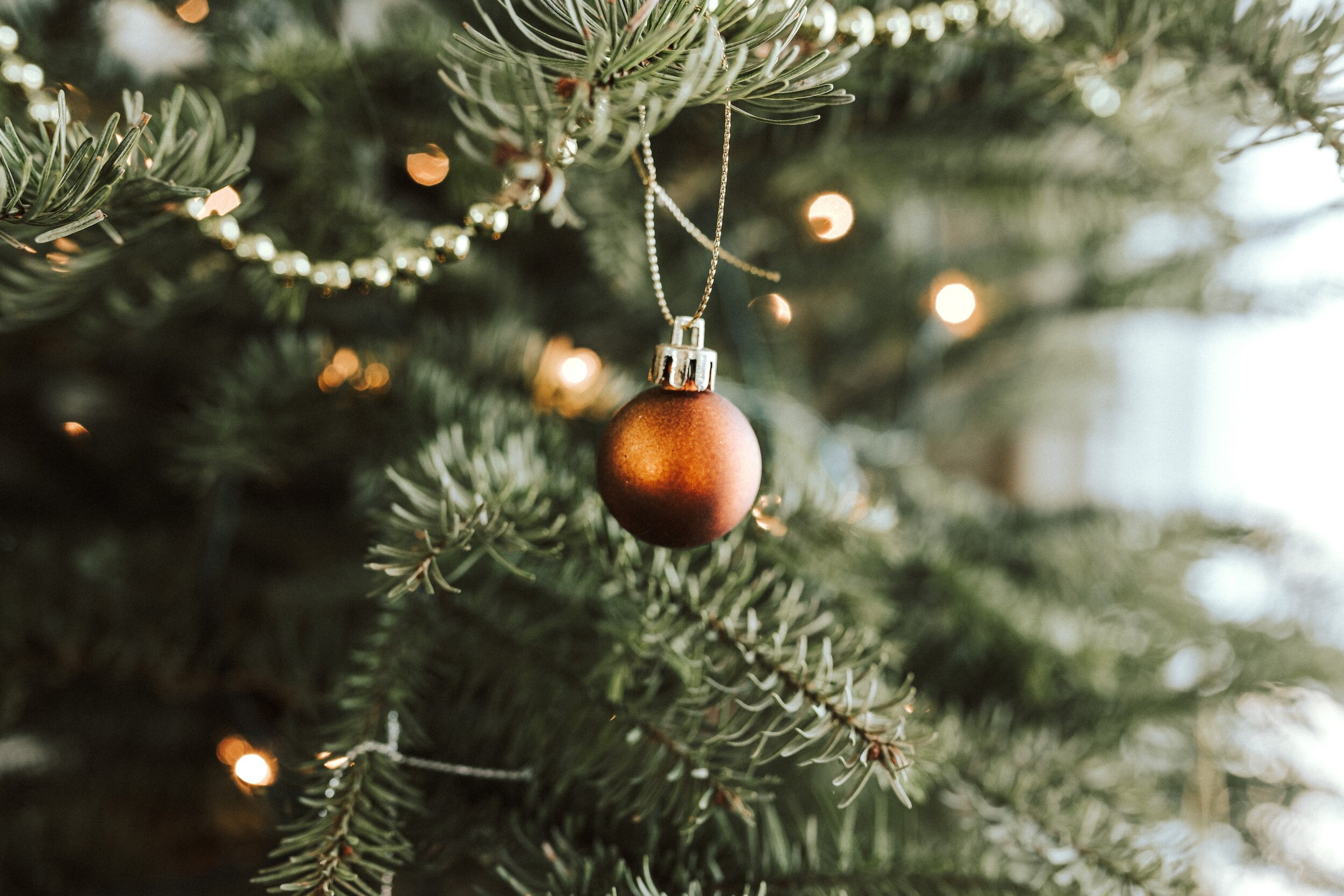 Putting up the Christmas tree