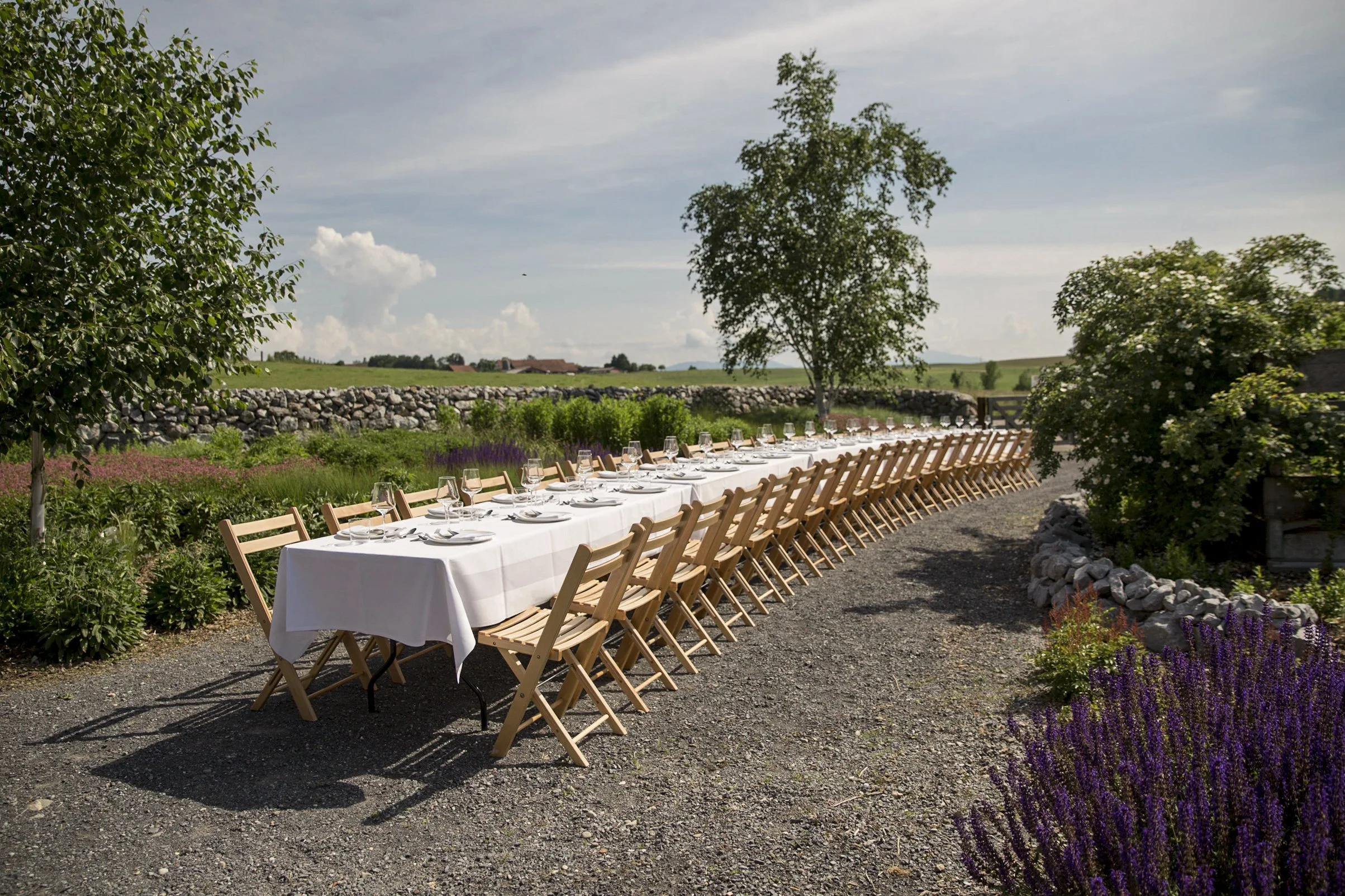 Farm Table Dinner mit Gästen an einer langen Tafel auf dem Feld.