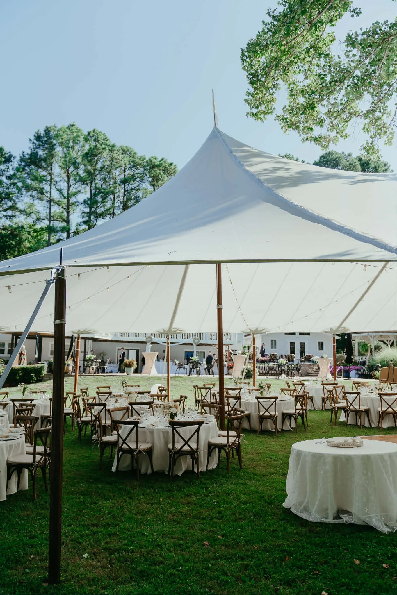 436cf2de-939d-45a1-8fc6-45a5253bfd64.jfif