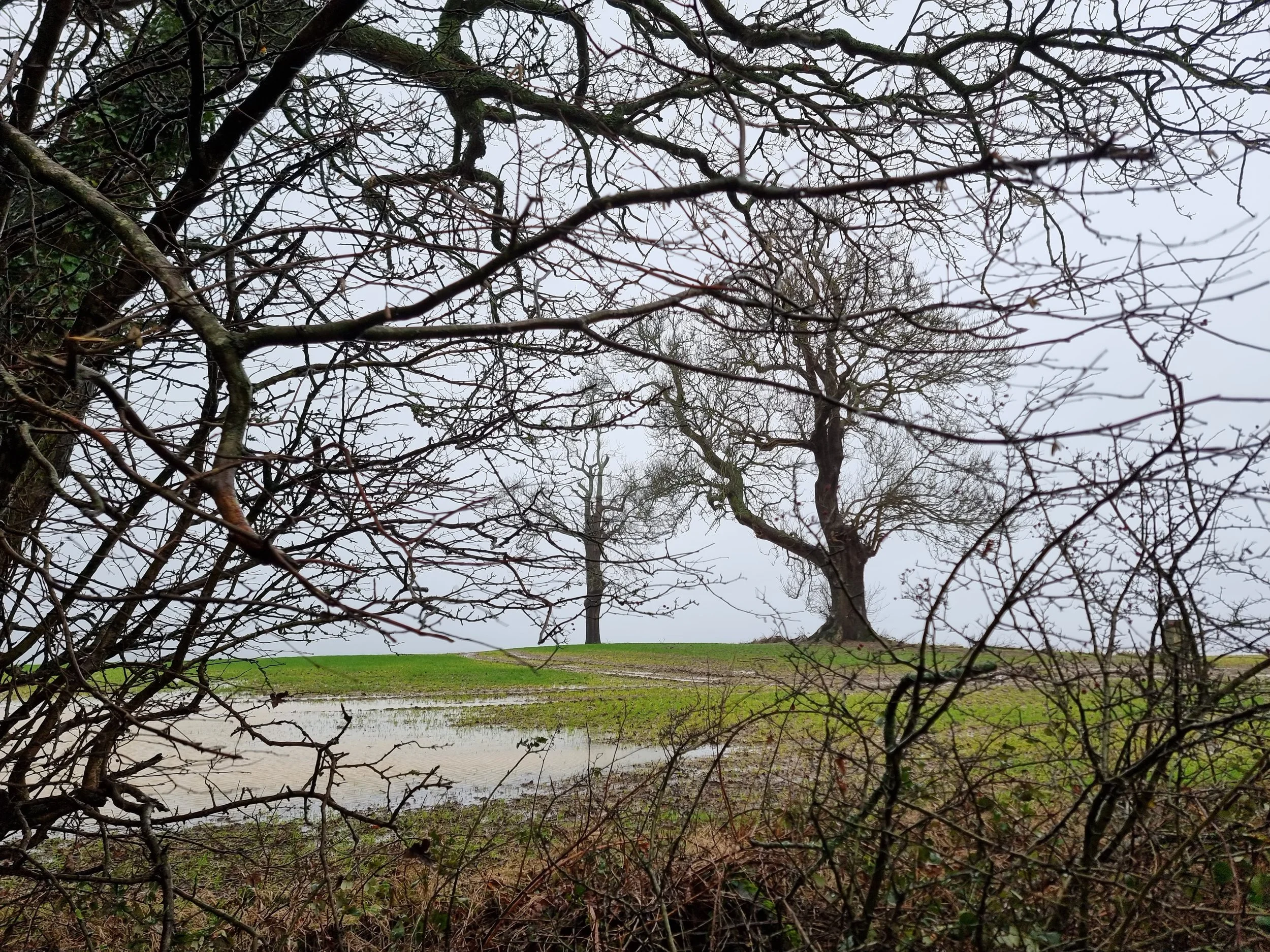 Merstham to Woldingham