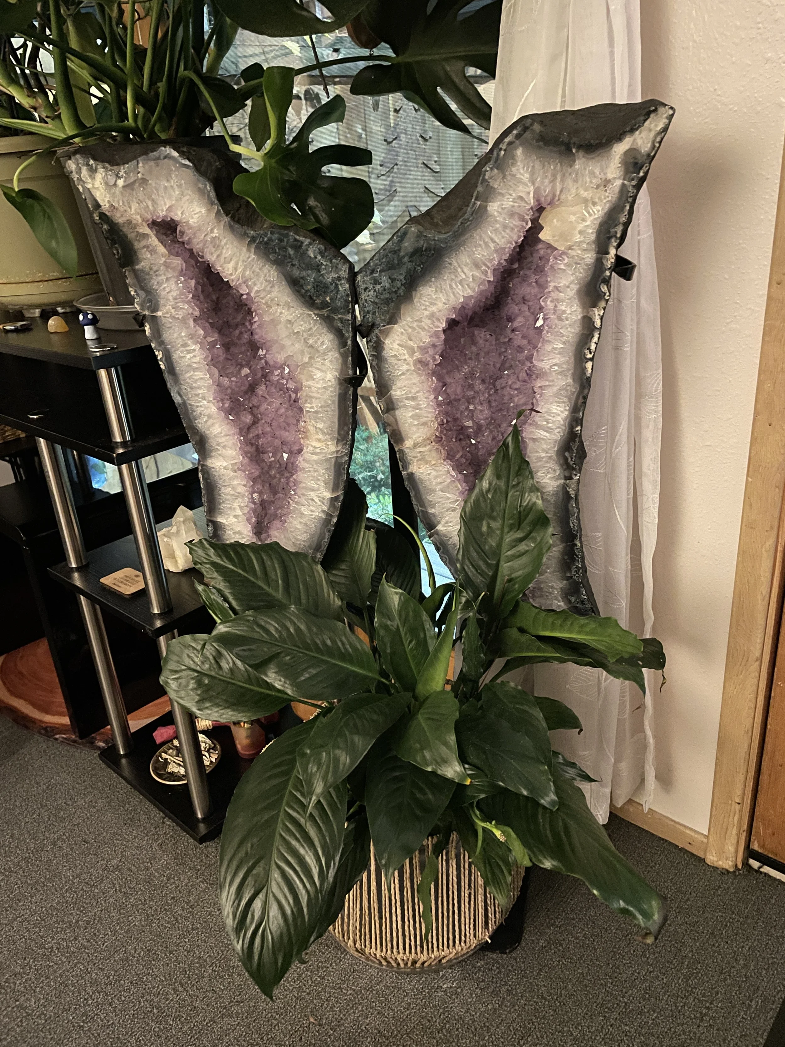 EPIC's Garden Room - Amethyst Butterfly Wings