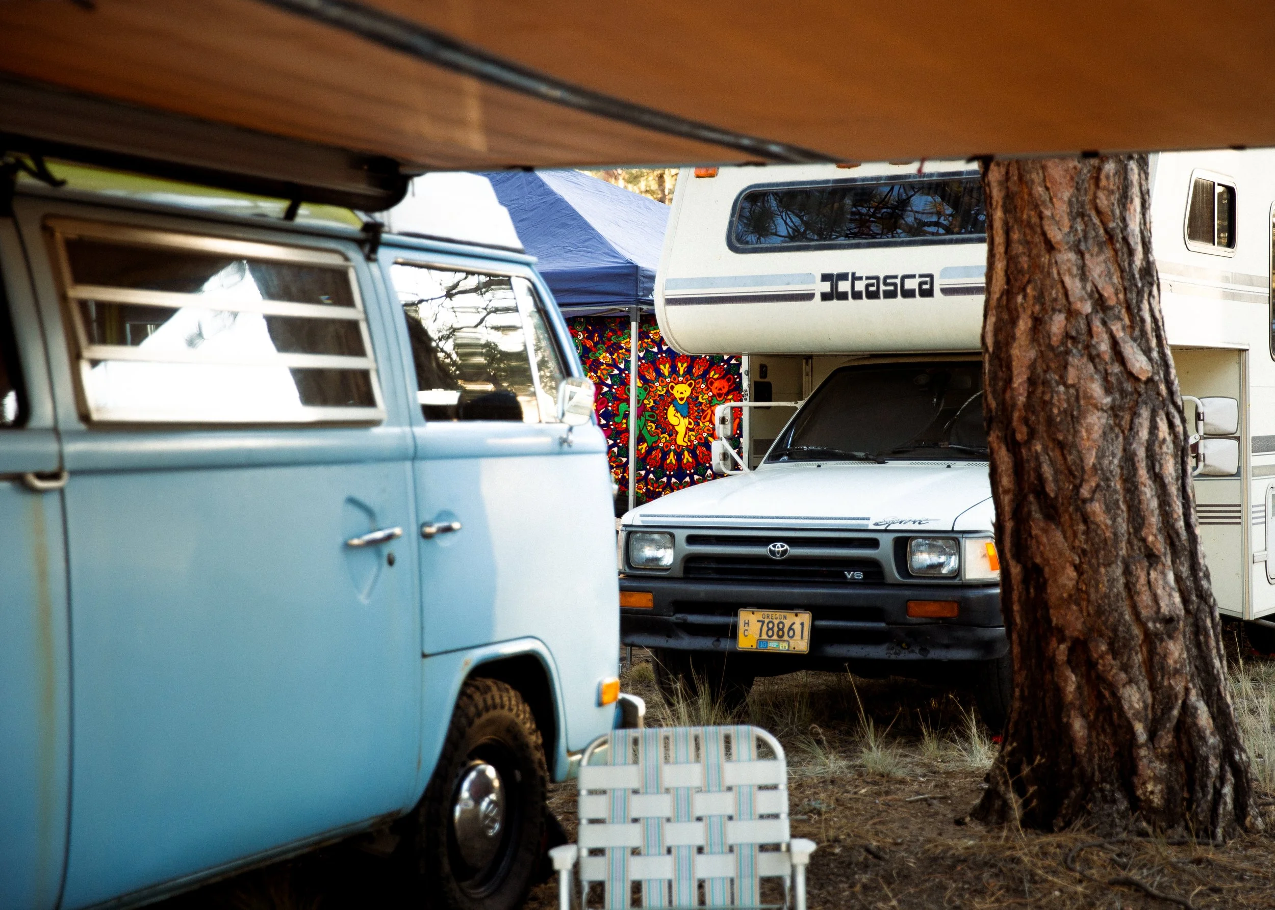 VW-TeddyBears.jpg