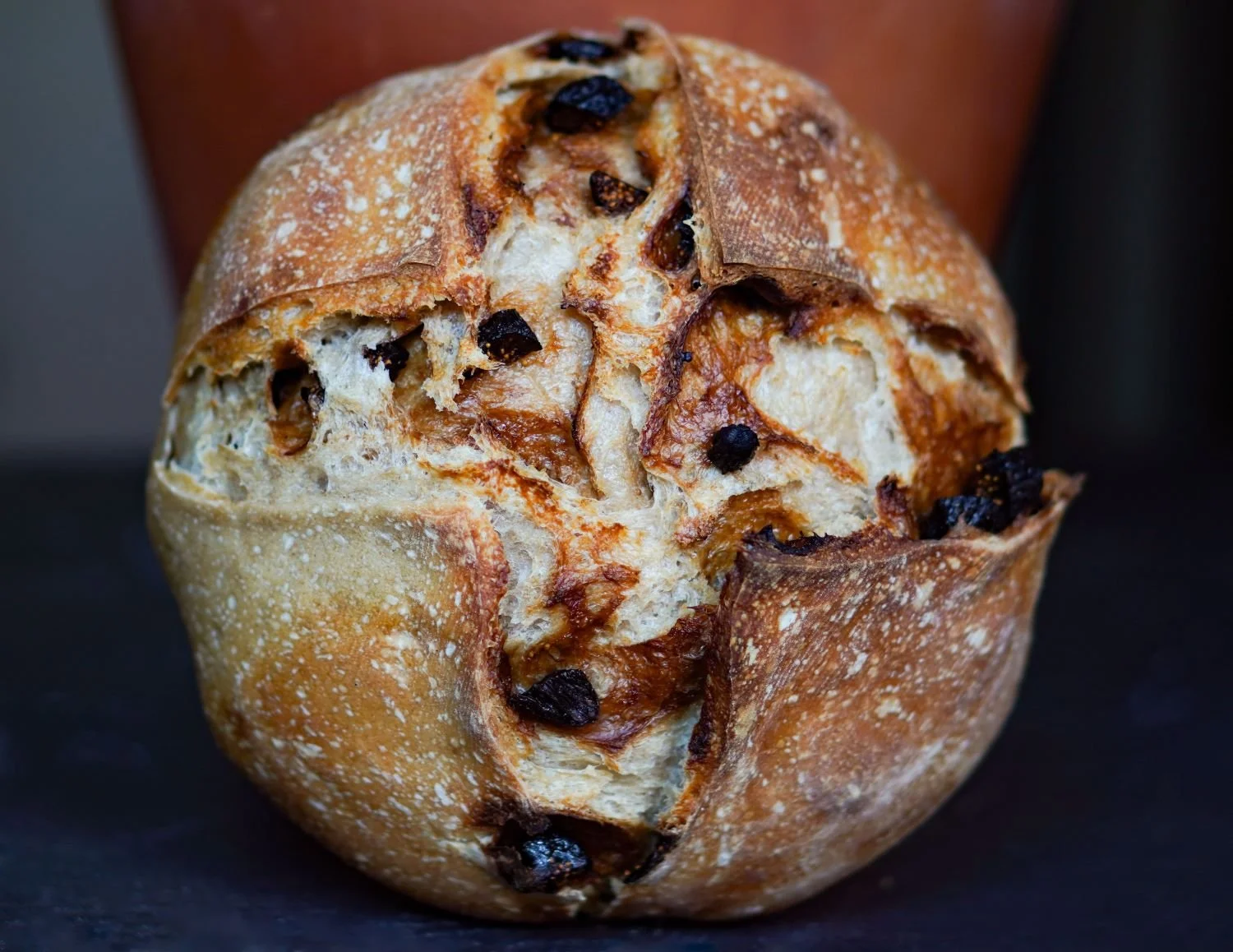 Fig Sourdough