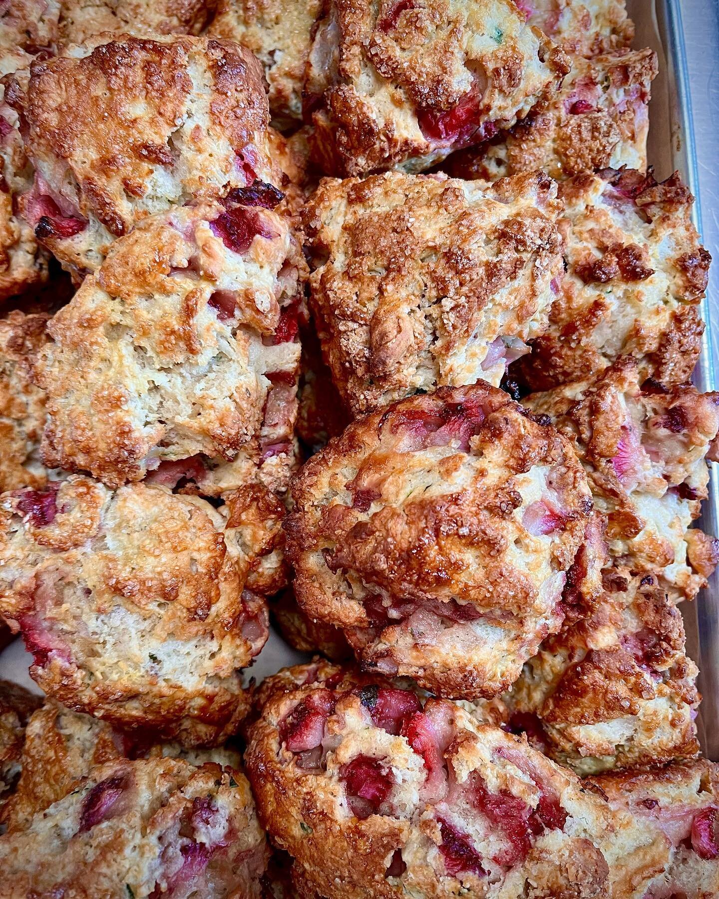nearing the end of strawb scones

PASTRIES TOMORROW
9 - noon

stuff that freezer bc we are going out if town and are NOT going to have bagels, scones, or buns the rest of the month!!

🍓