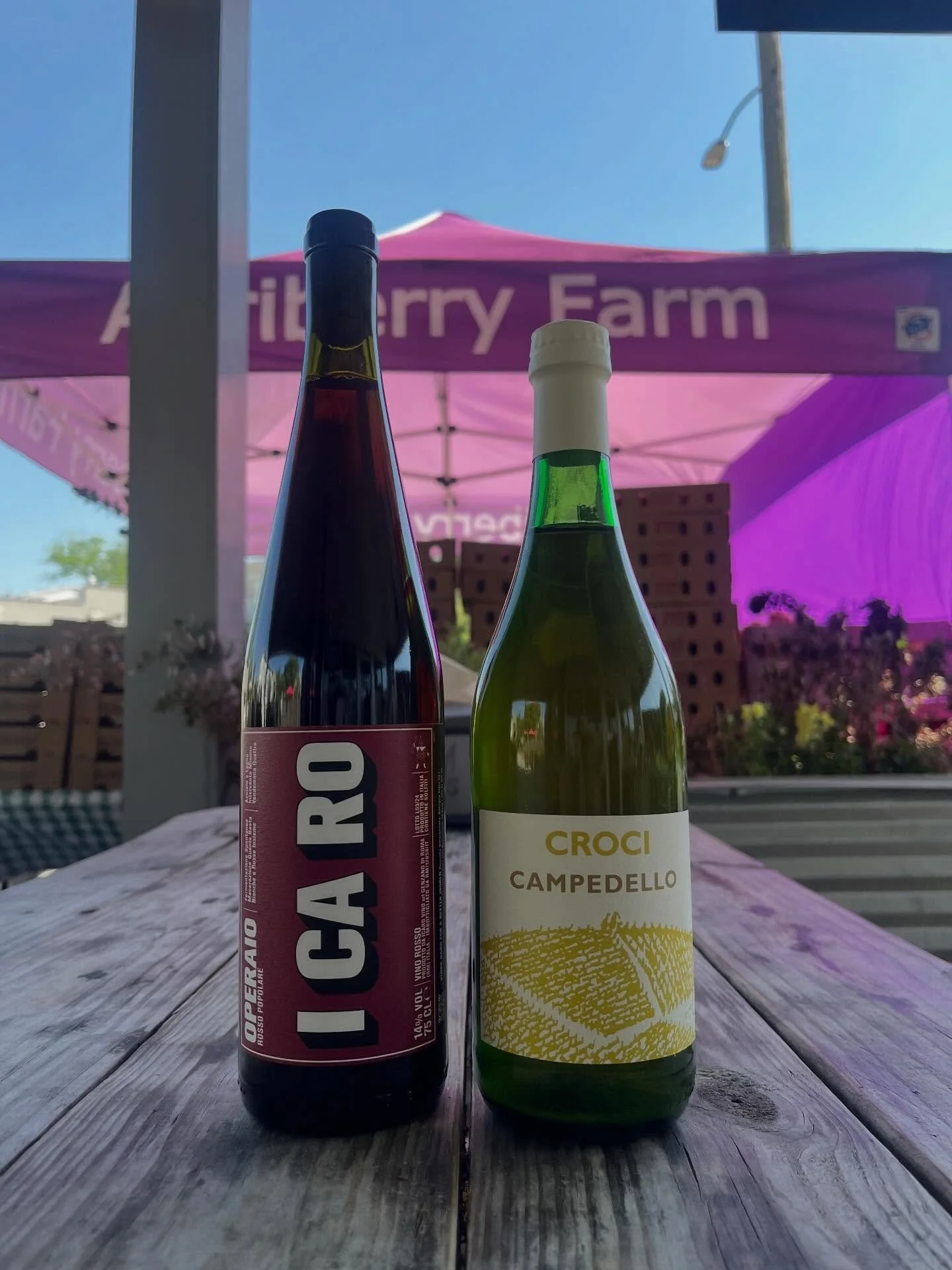 WINE TASTING!!! 
Tonight from 6-8

🤌 ITALYYY

I Ca Ro 
Operaio Rosso Populare 
Grapes: Cesanese, Montepulciano, Sangiovese, Malvasia and Trebbiano 
Lazily, Italy

Croci 
Campedello Pet Nat 2021
Grapes: Malvasia di Candia, Trebbiano e Ortrugo, Sauvig