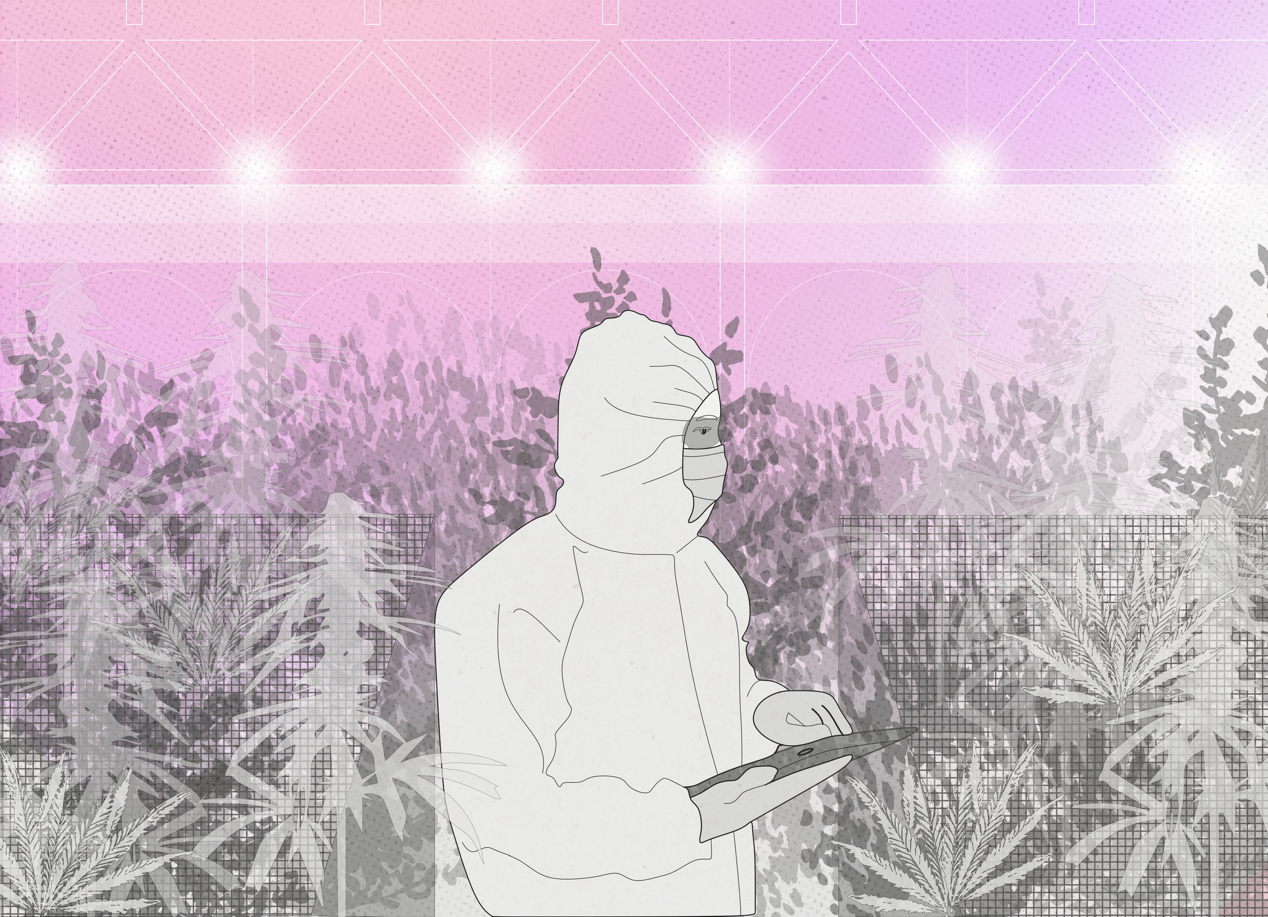 perspectives_03.png