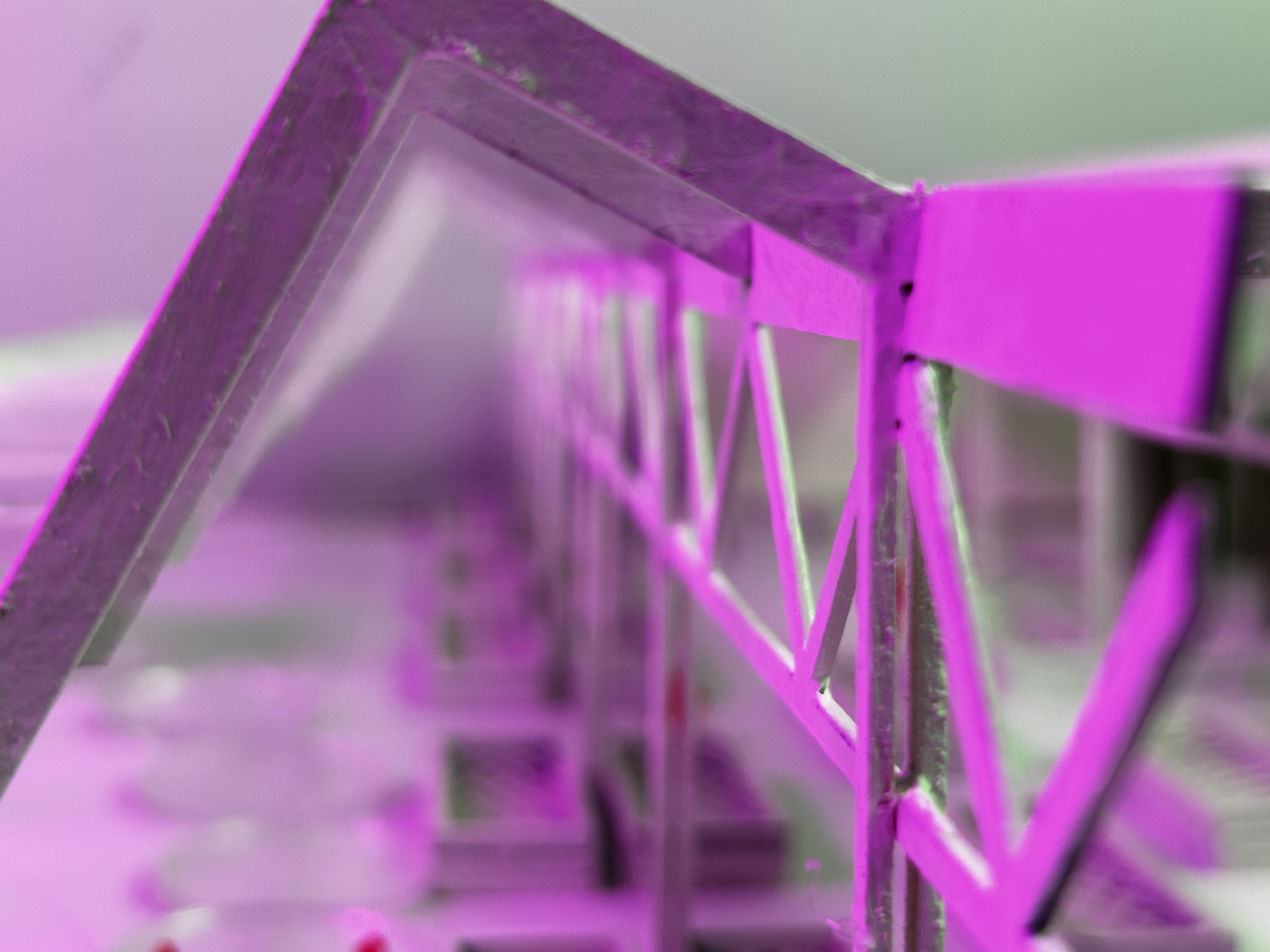 IMG_1033 2 Large.png