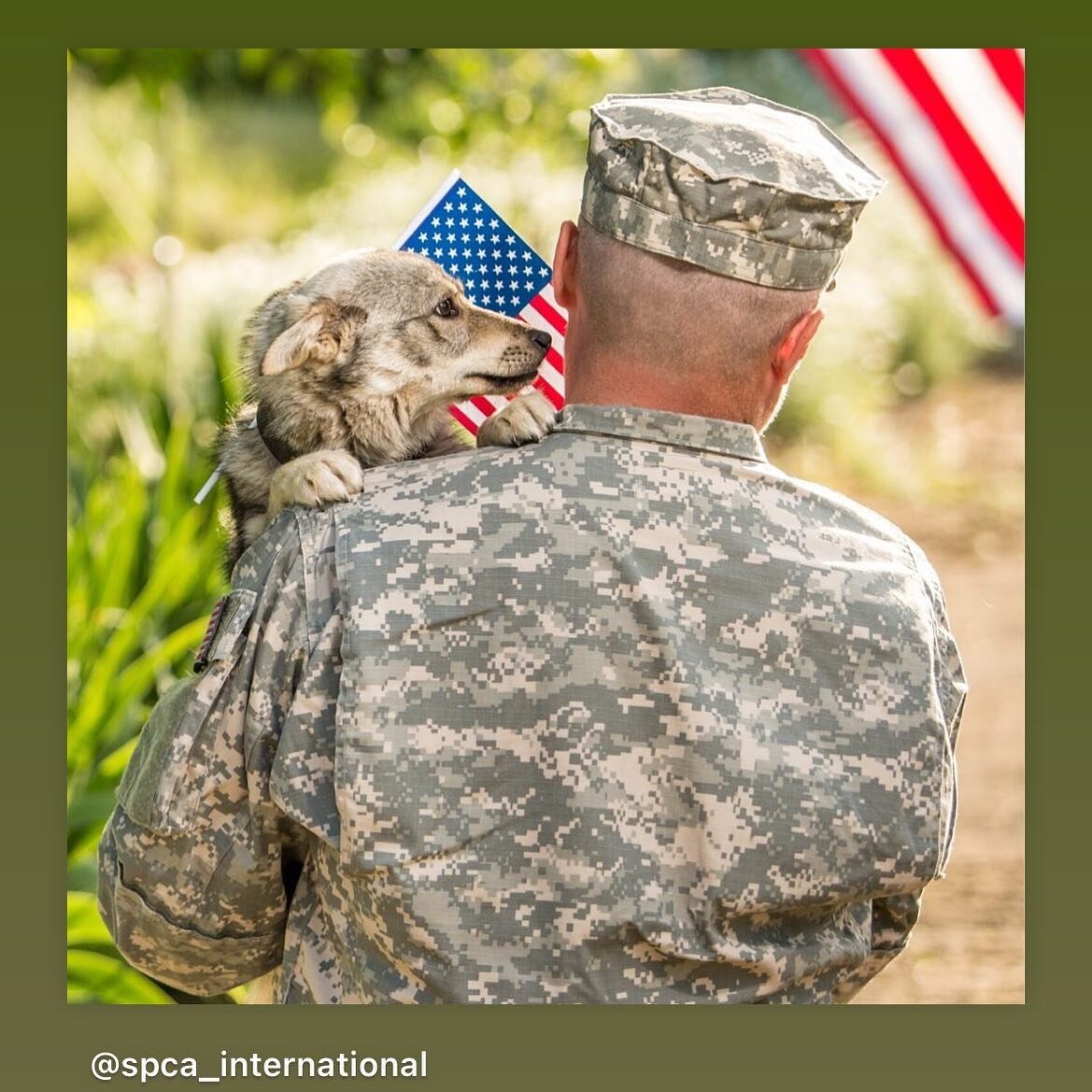 On Memorial Day, we remember the human and canine soldiers that gave the ultimate sacrifice for their country, and for us, the people of the United States. #militaryworkingdog