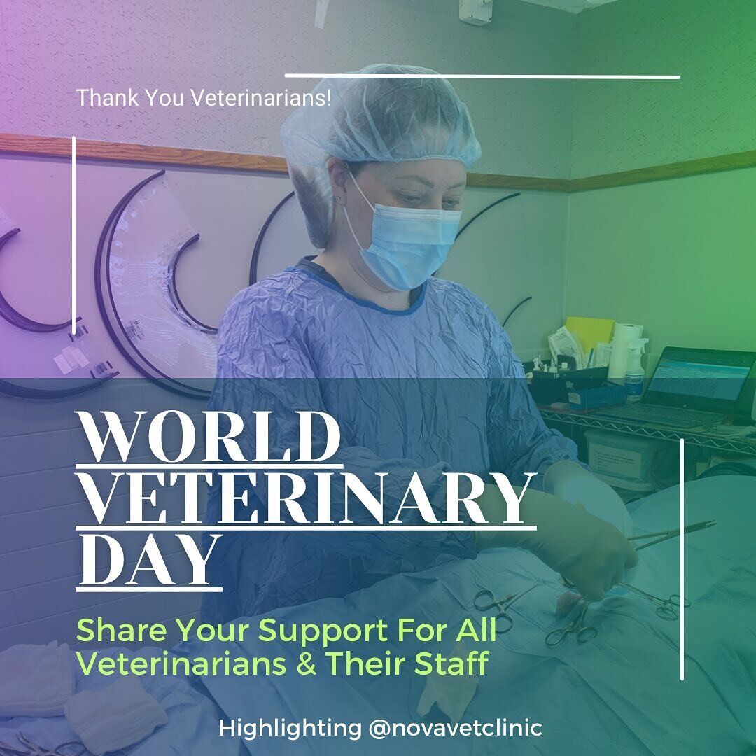 We are truly grateful to veterinarians worldwide and their staff for the endless love and hours they put in to care for our pets 💜