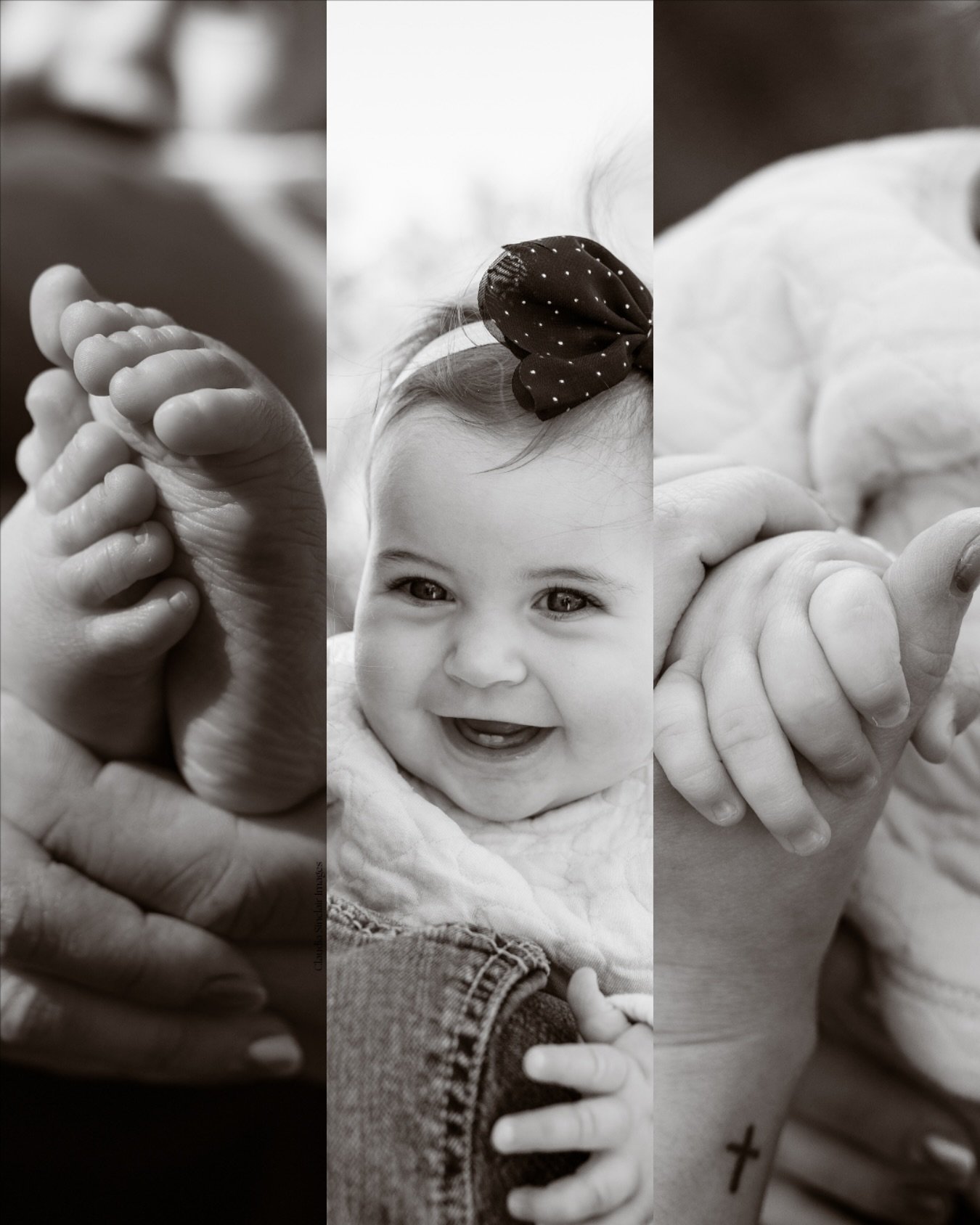 Little cutie 🤍🖤🩶 

#milestone #milestonesession #family #fall #photos #anoka #blaine #minneapolis #familyphotos #art #familytime #memory