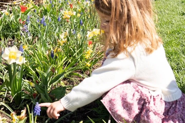 Some of my favorite photos are the ones that aren&rsquo;t perfectly posed, just carefree, real, and full of life☀️

Blaine family photographer candid family photos spring summer anoka minneapolis wing and Willow photography