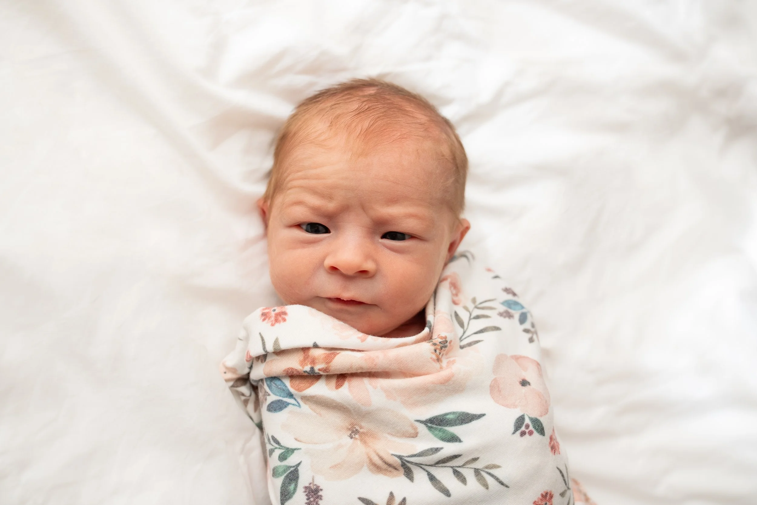 newborn photos fresh 48 photographer in hospital in home