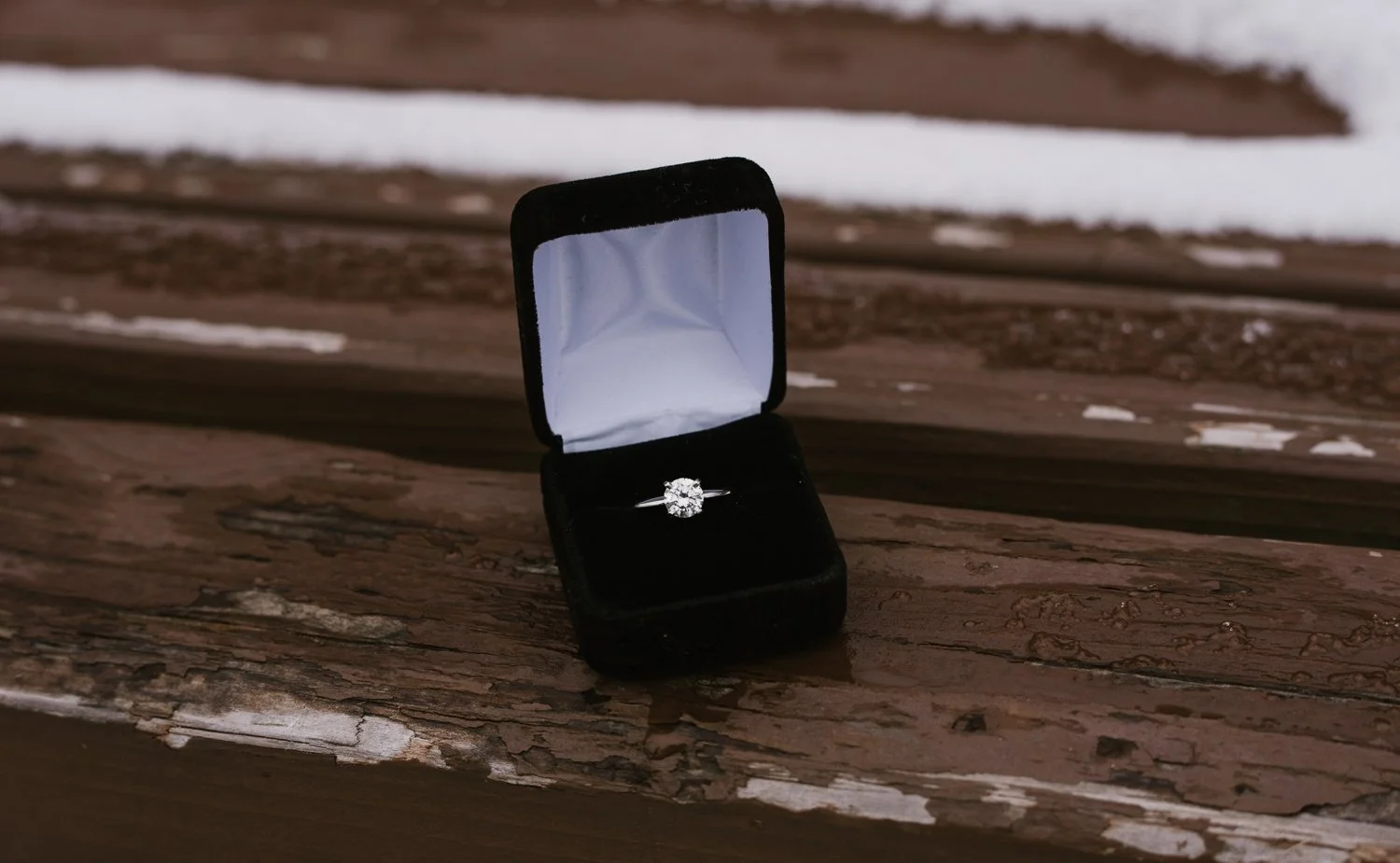 south-haven-michigan-proposal-photographer (47).jpg