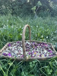 Garden Confetti