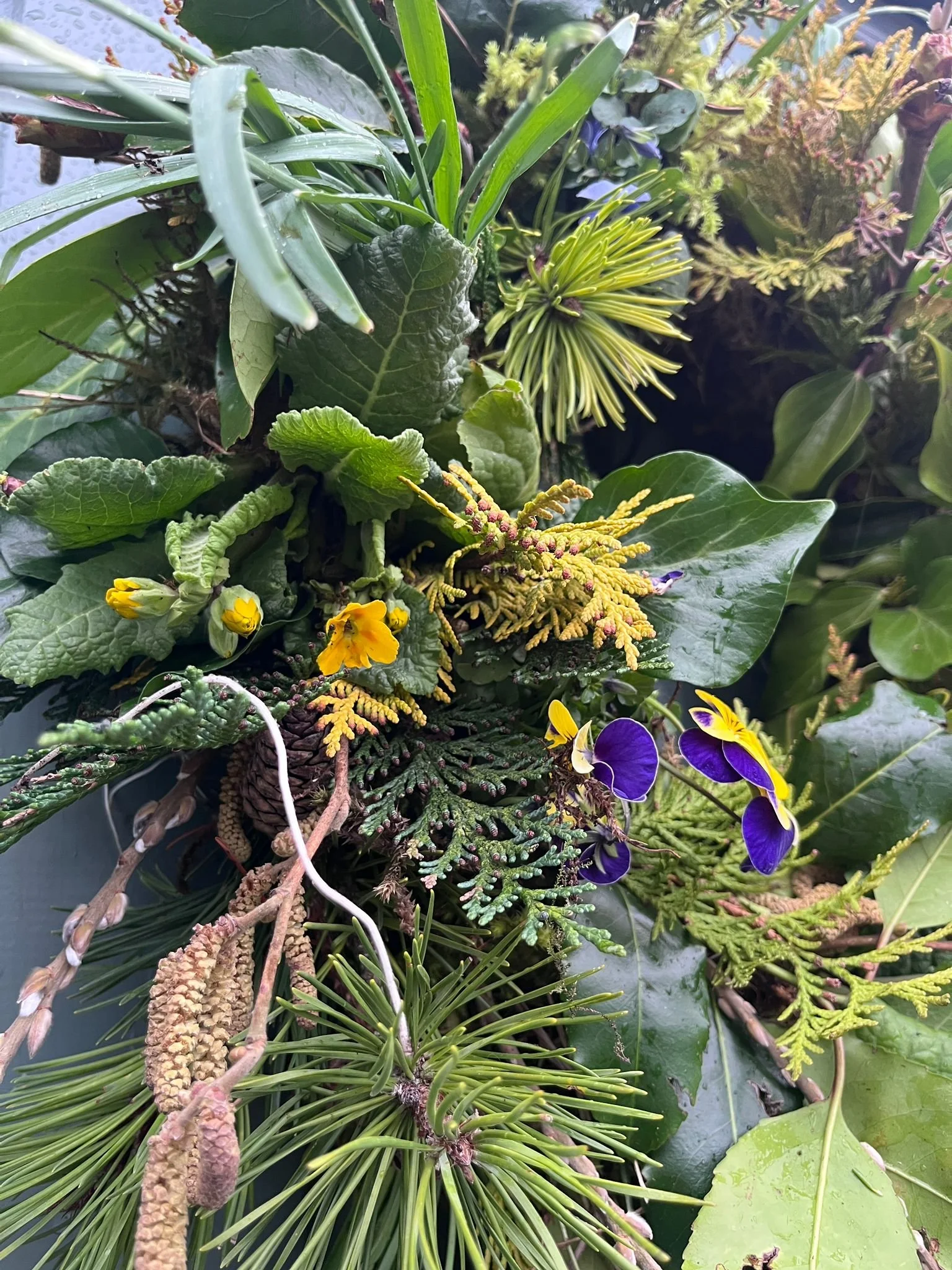 WhatsApp Image 2026-03-12 at 16.46.31.jpeg