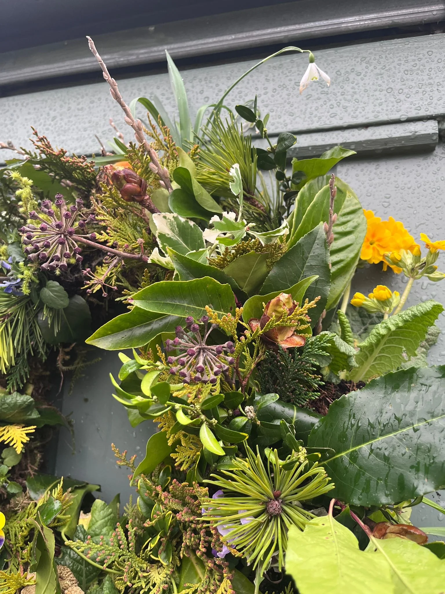 WhatsApp Image 2026-03-12 at 16.46.31 (1).jpeg