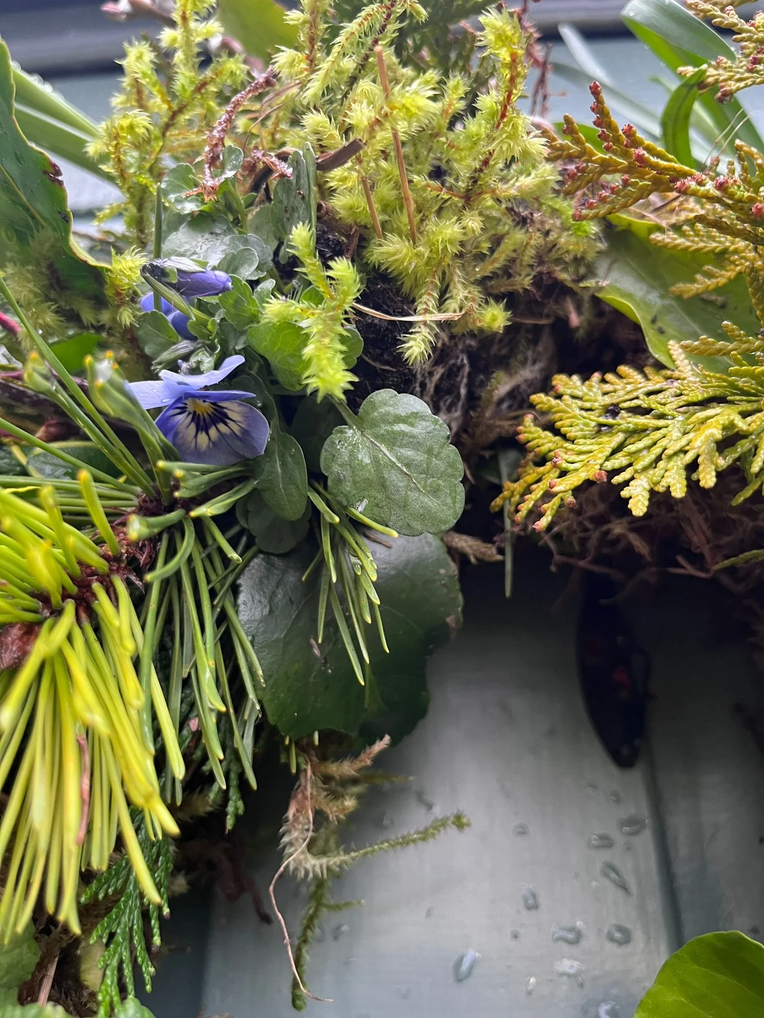 WhatsApp Image 2026-03-12 at 16.46.31 (2).jpeg