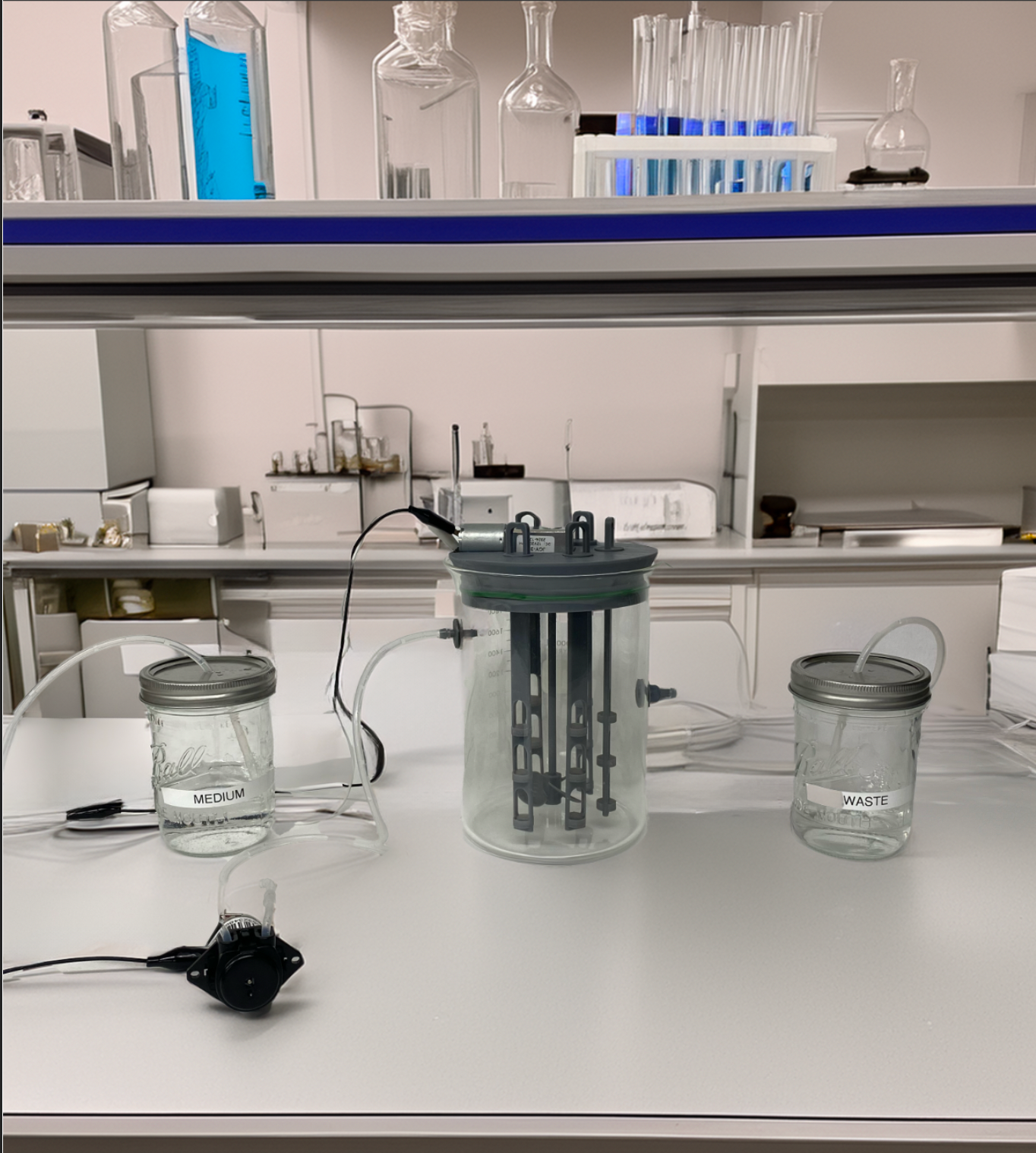 Bioreactor