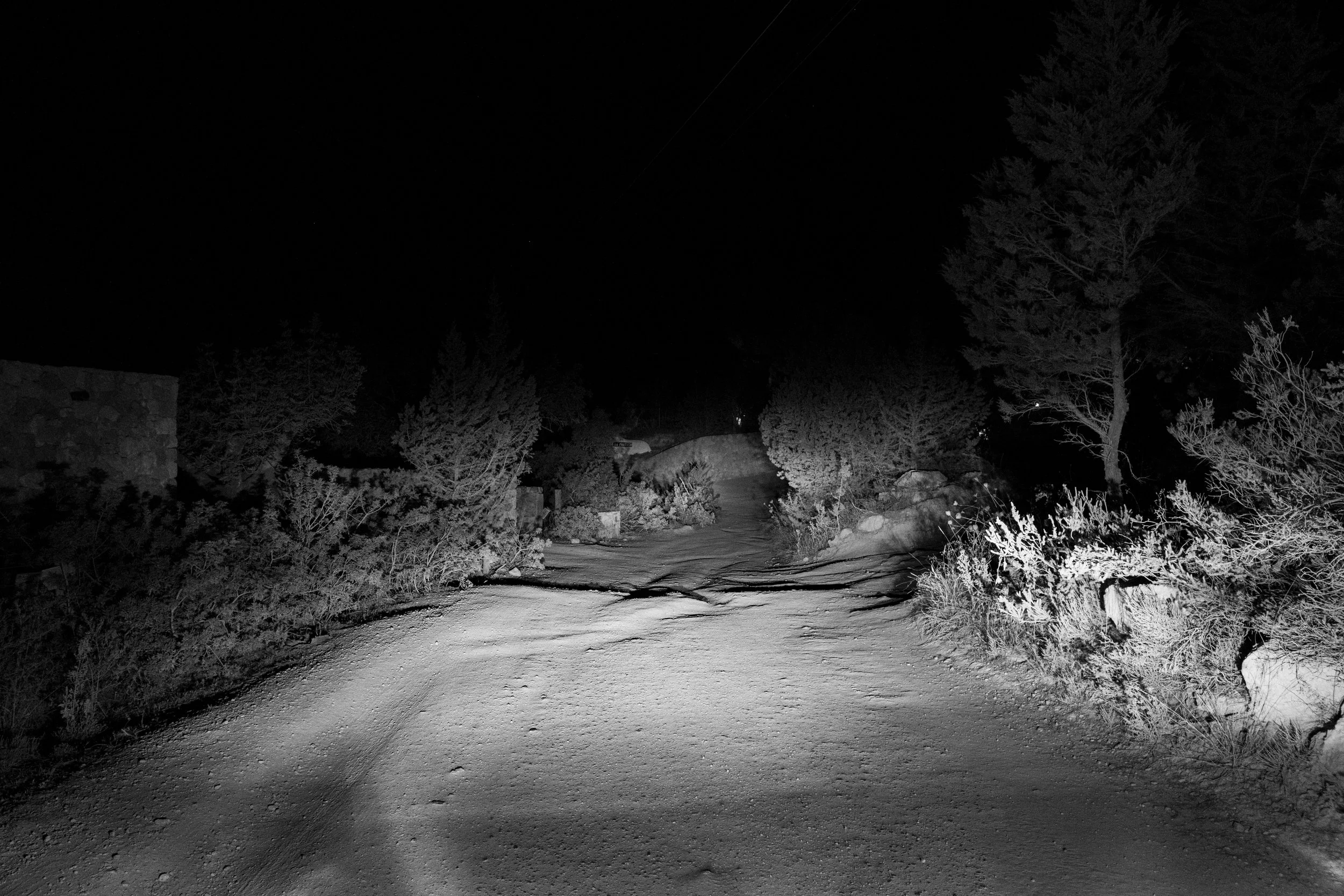 20250615 - A hidden place-10.jpg