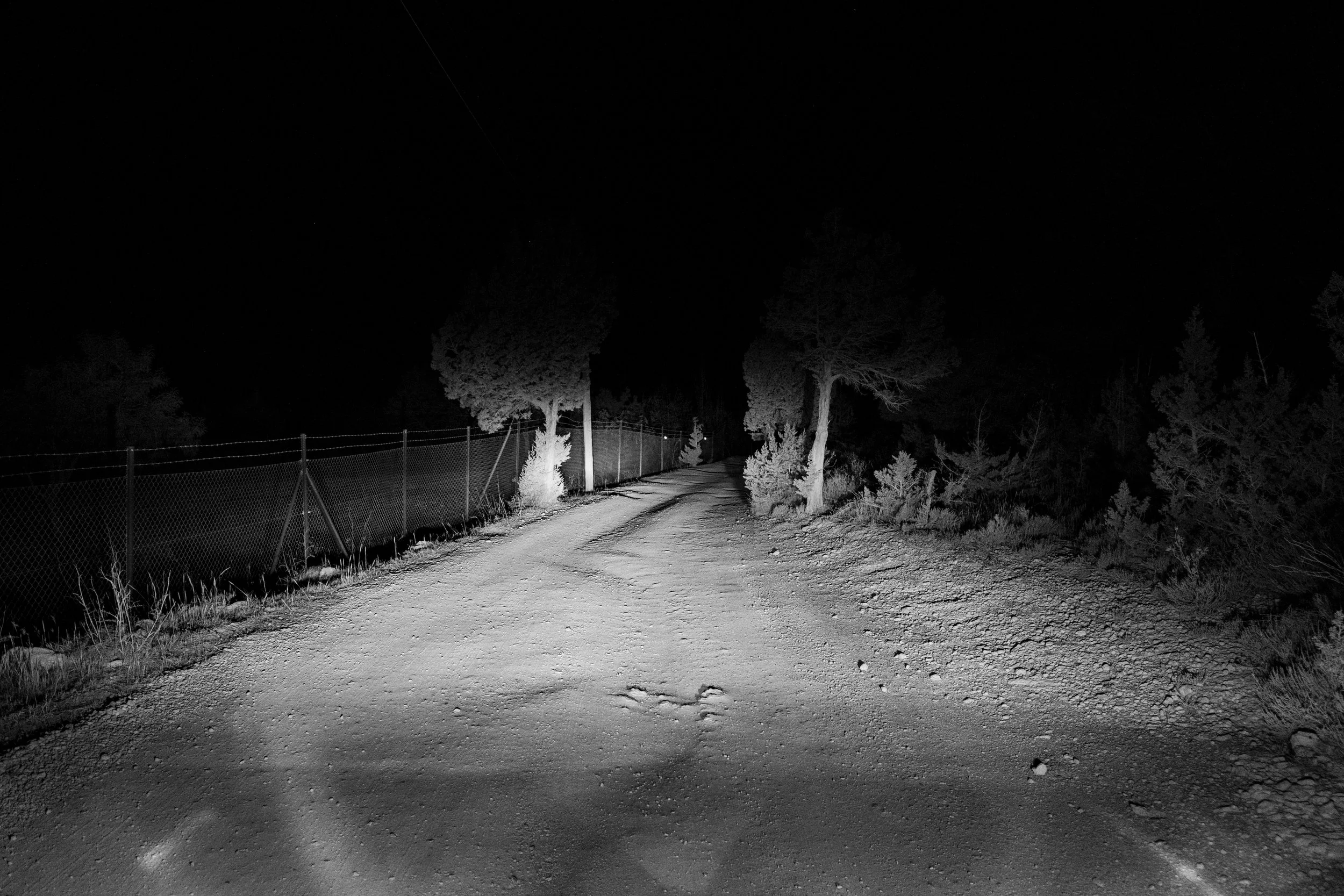 20250615 - A hidden place-13.jpg