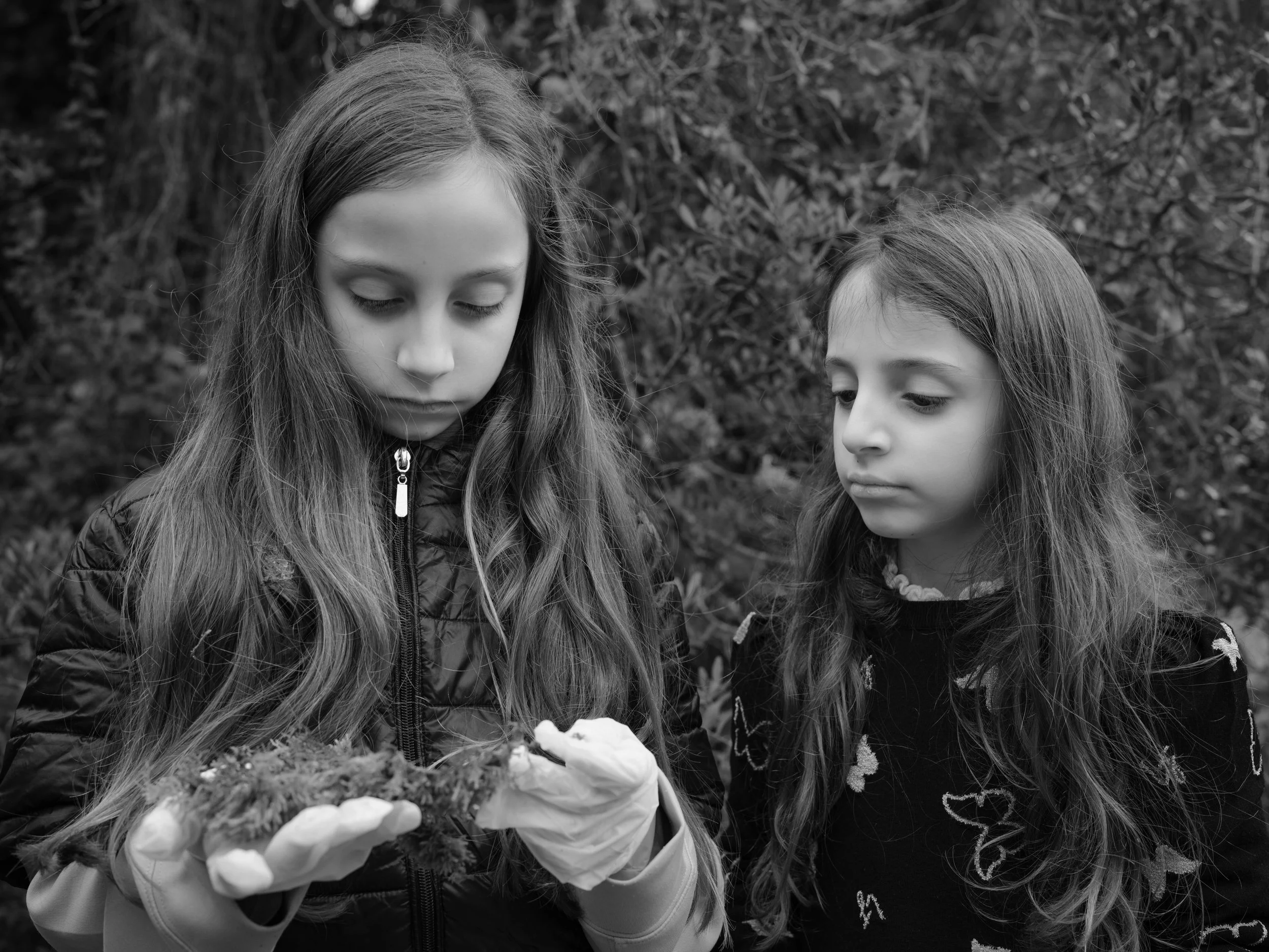 Searching for moss-7017.jpg