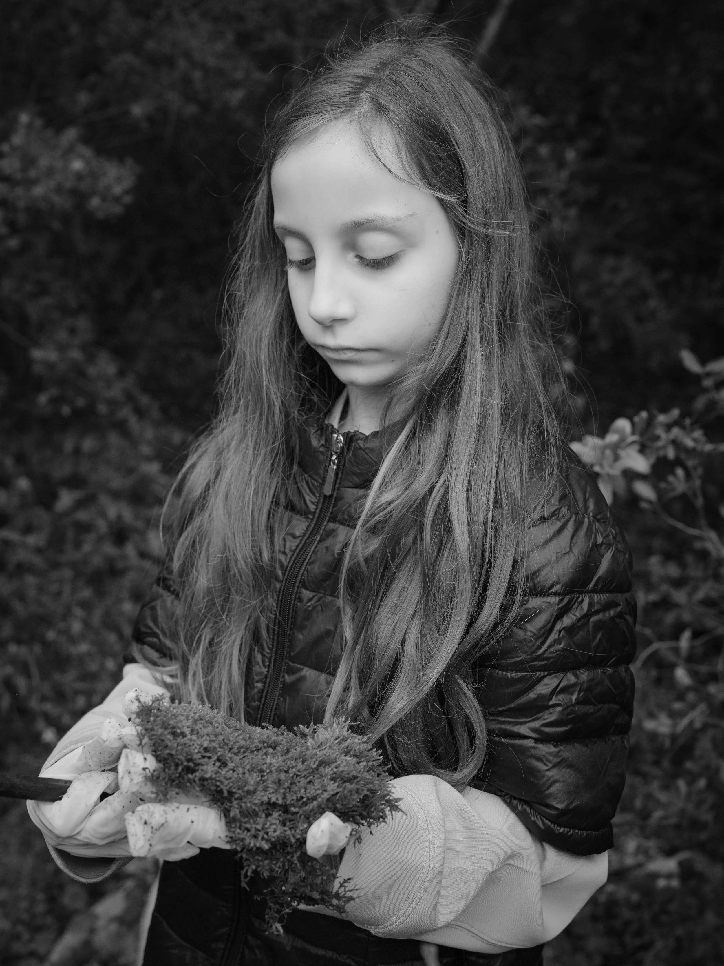 Searching for moss-7072.jpg