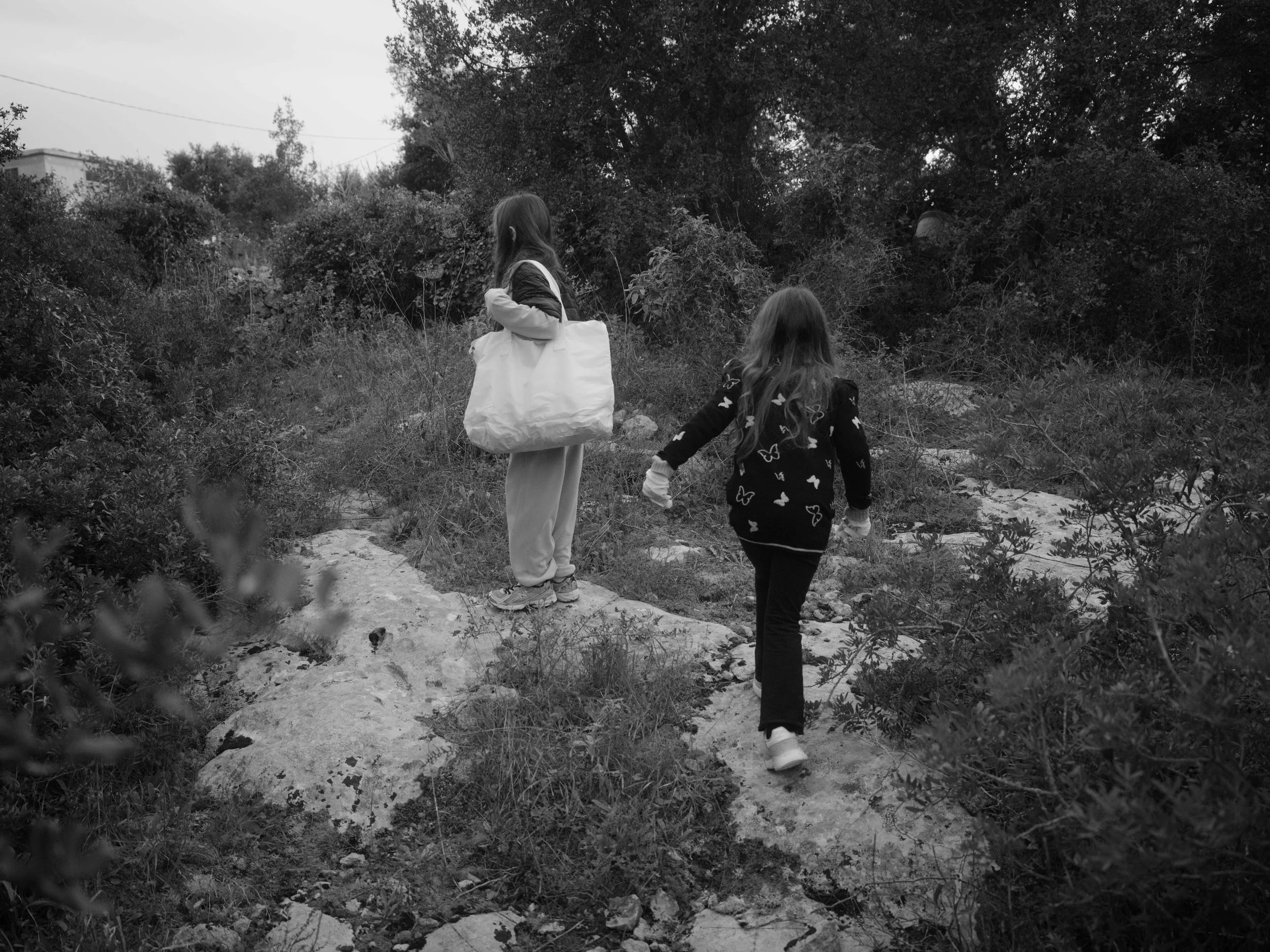 Searching for moss-7306.jpg