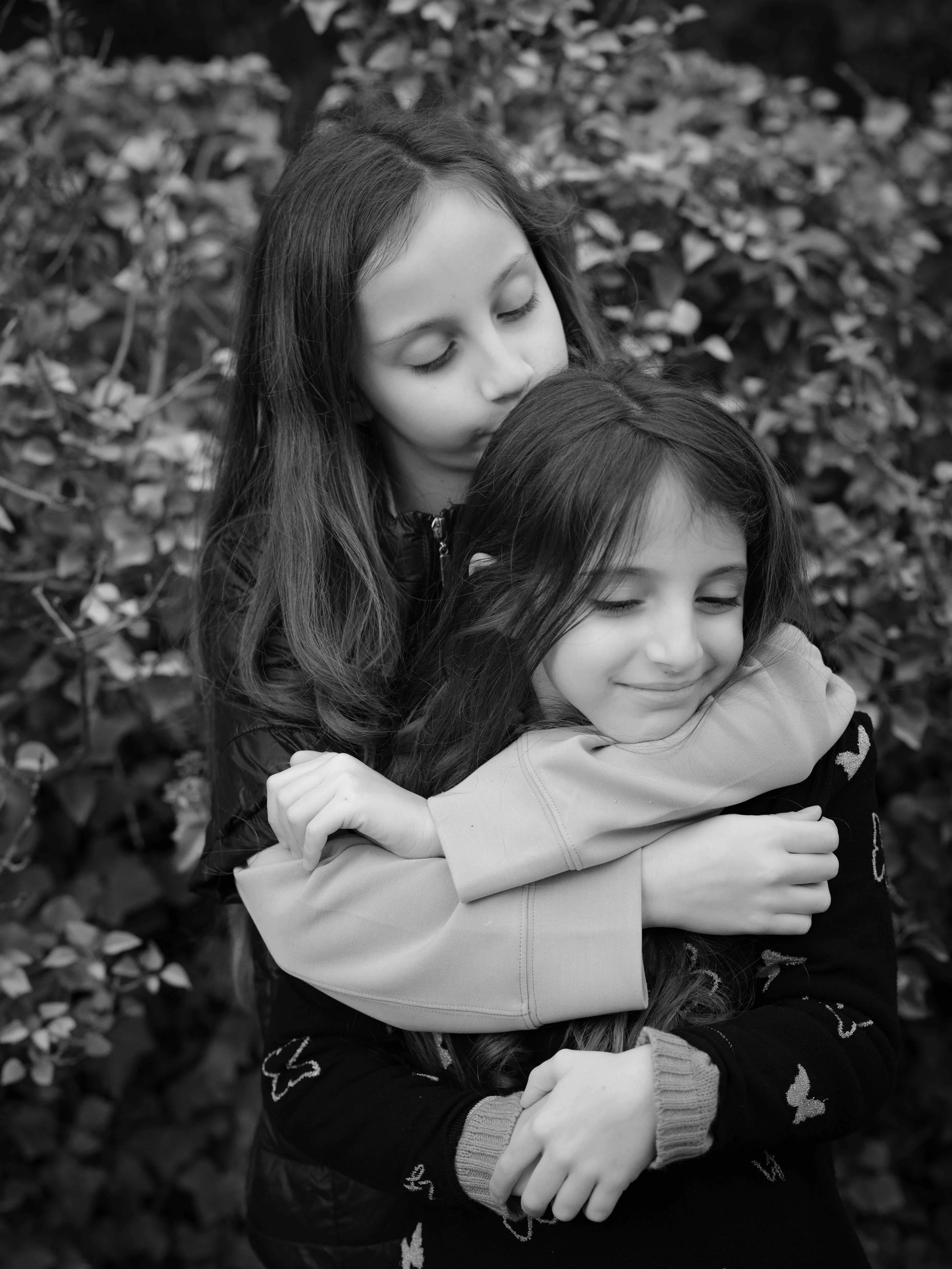 Searching for moss-7374.jpg